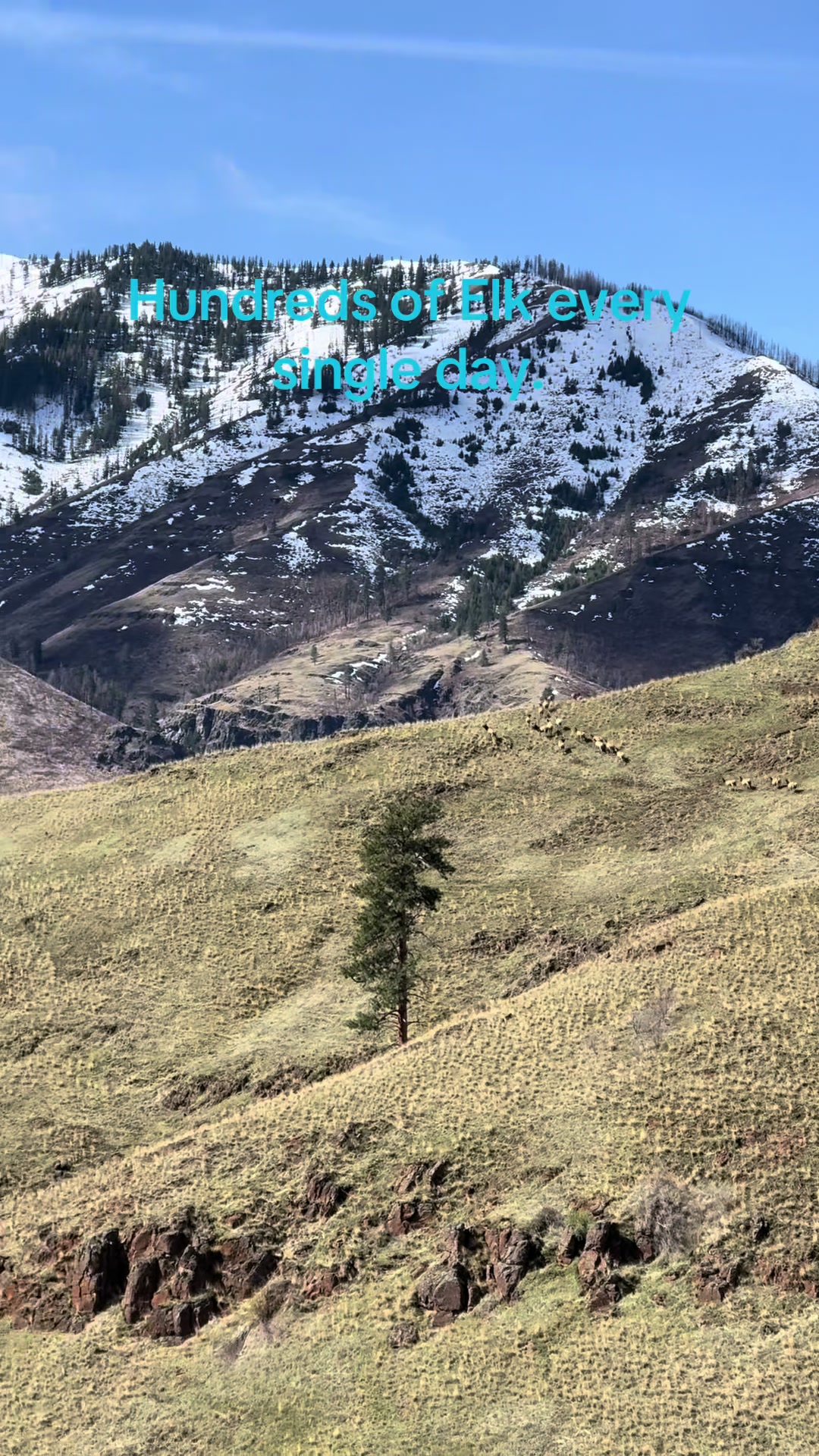 Hells Canyon National Recreation Area