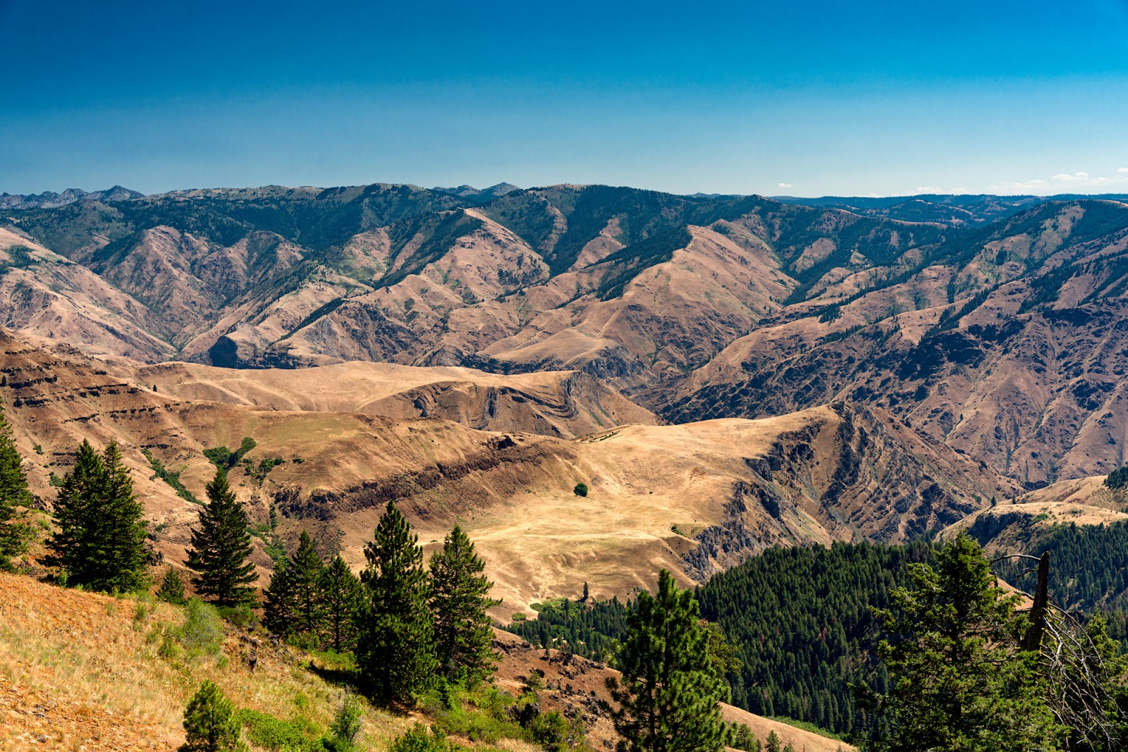 Hell's Canyon Overlook (Hells Canyon National Recreation Area)