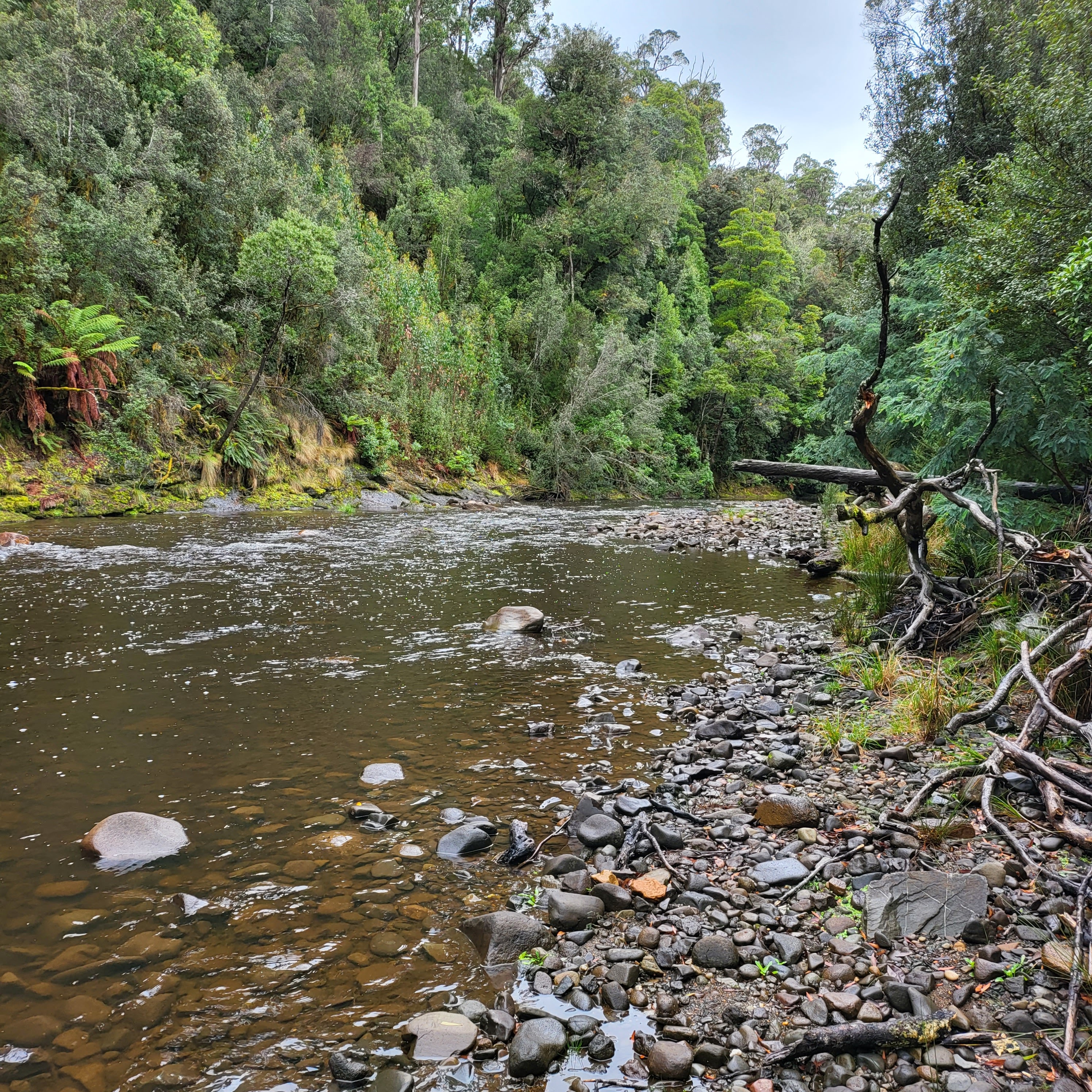 Hellyer Gorge