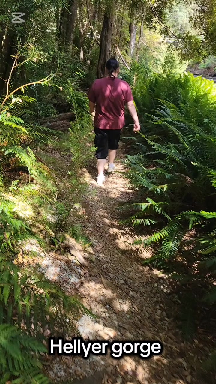 Hellyer Gorge