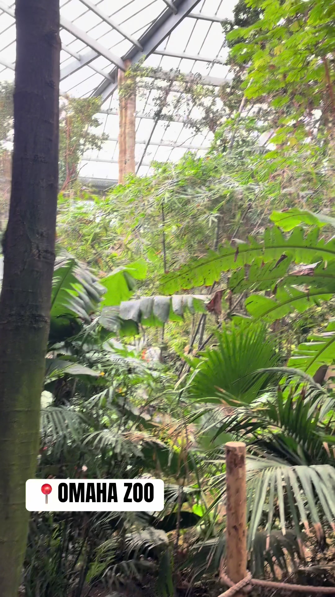 Henry Doorly Zoo and Aquarium (Omaha, Nebraska)