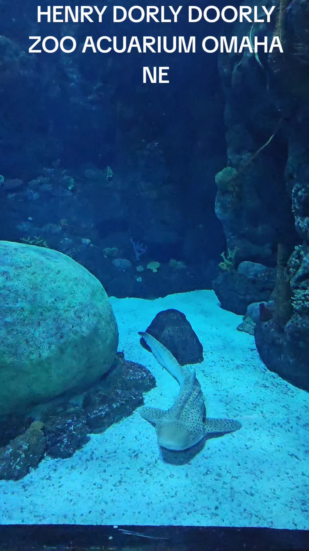 Henry Doorly Zoo and Aquarium (Omaha, Nebraska)