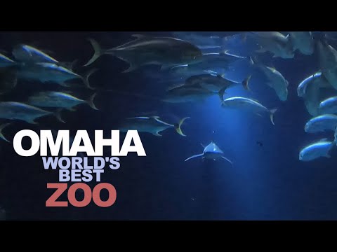 Henry Doorly Zoo and Aquarium