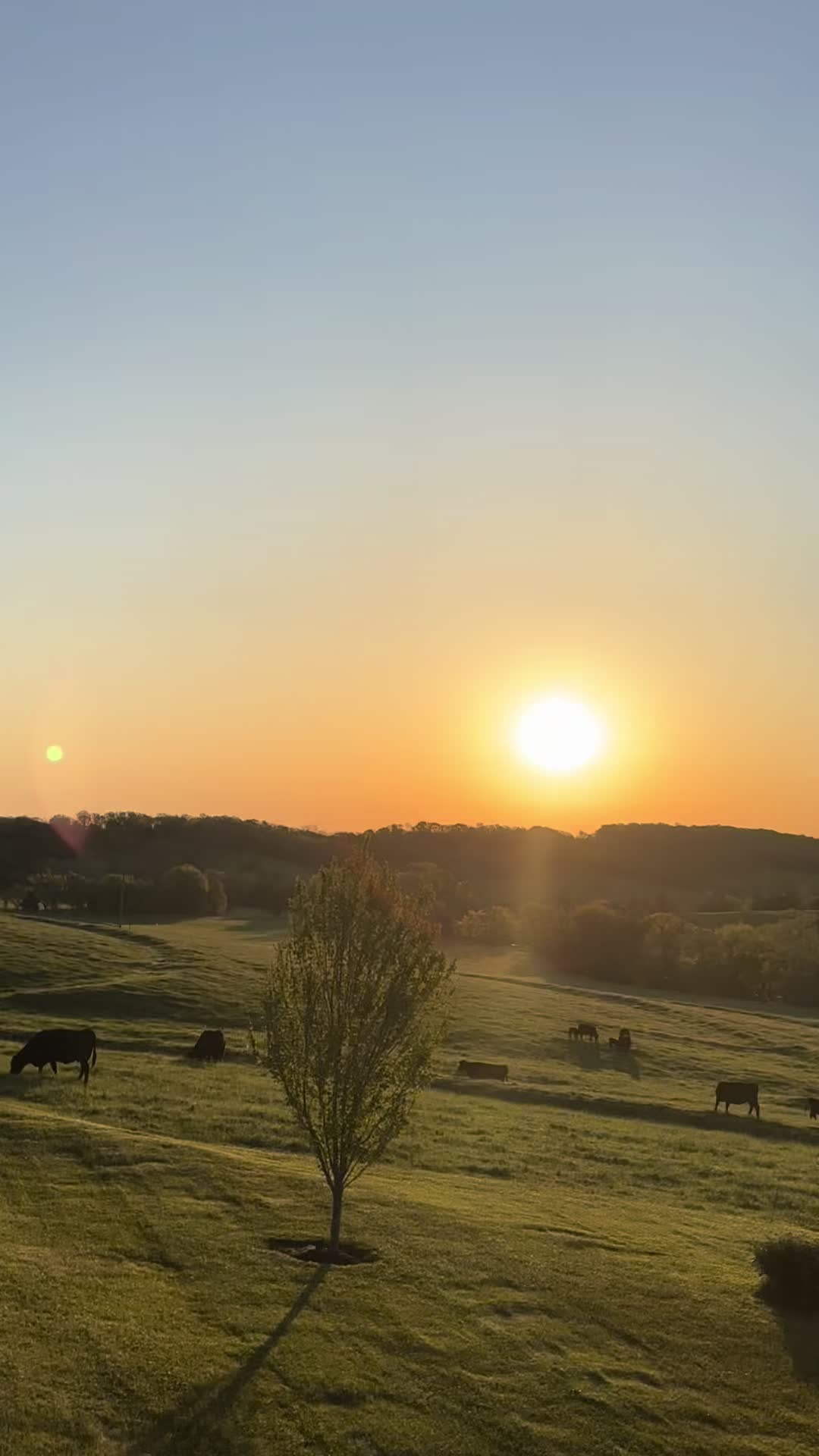 Hermann, MO