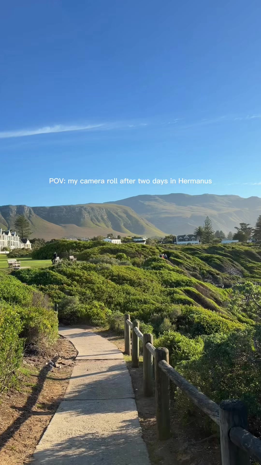 Hermanus