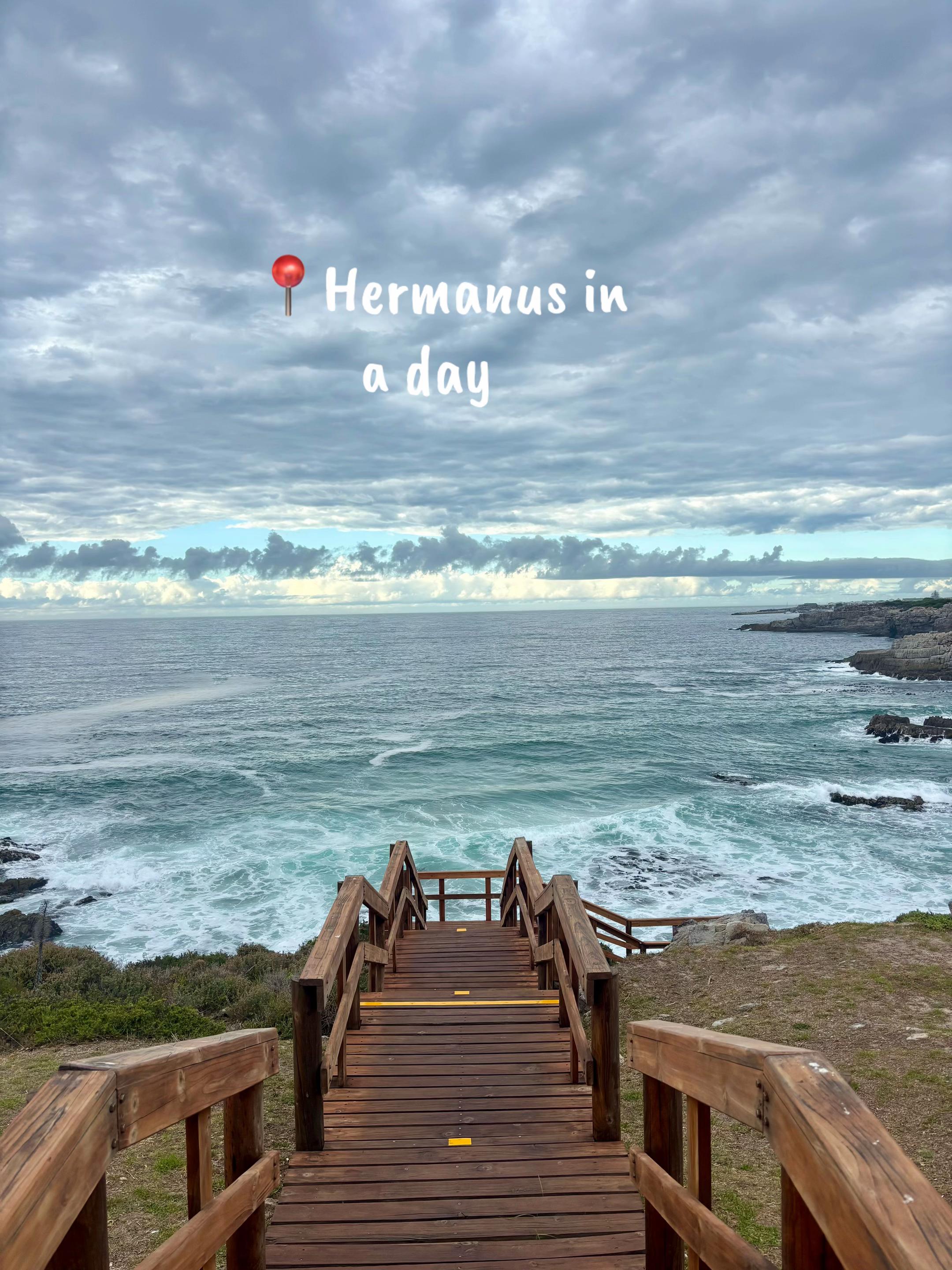 Hermanus