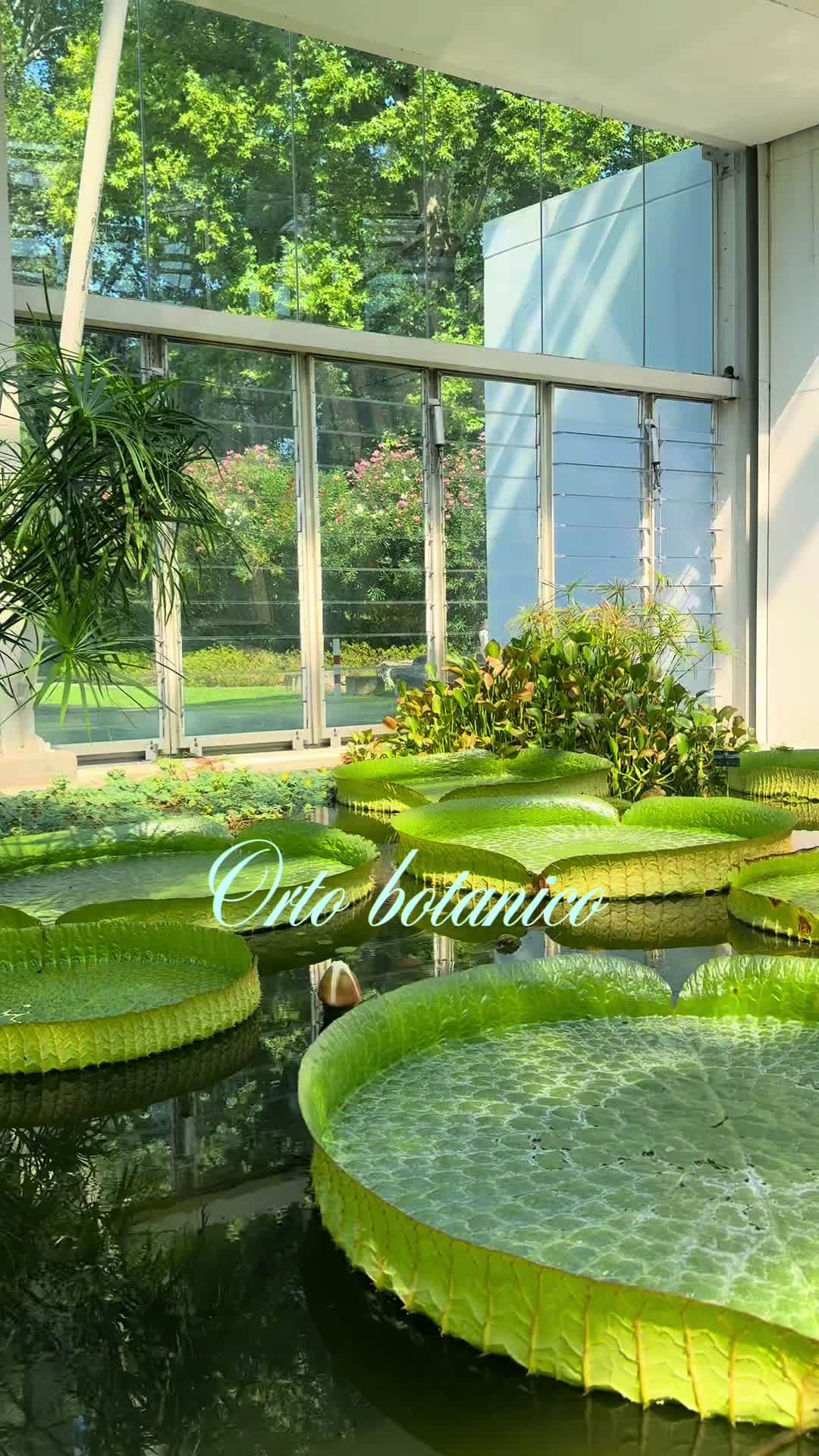 הגן הבוטני של פדובה (Orto Botanico di Padova)