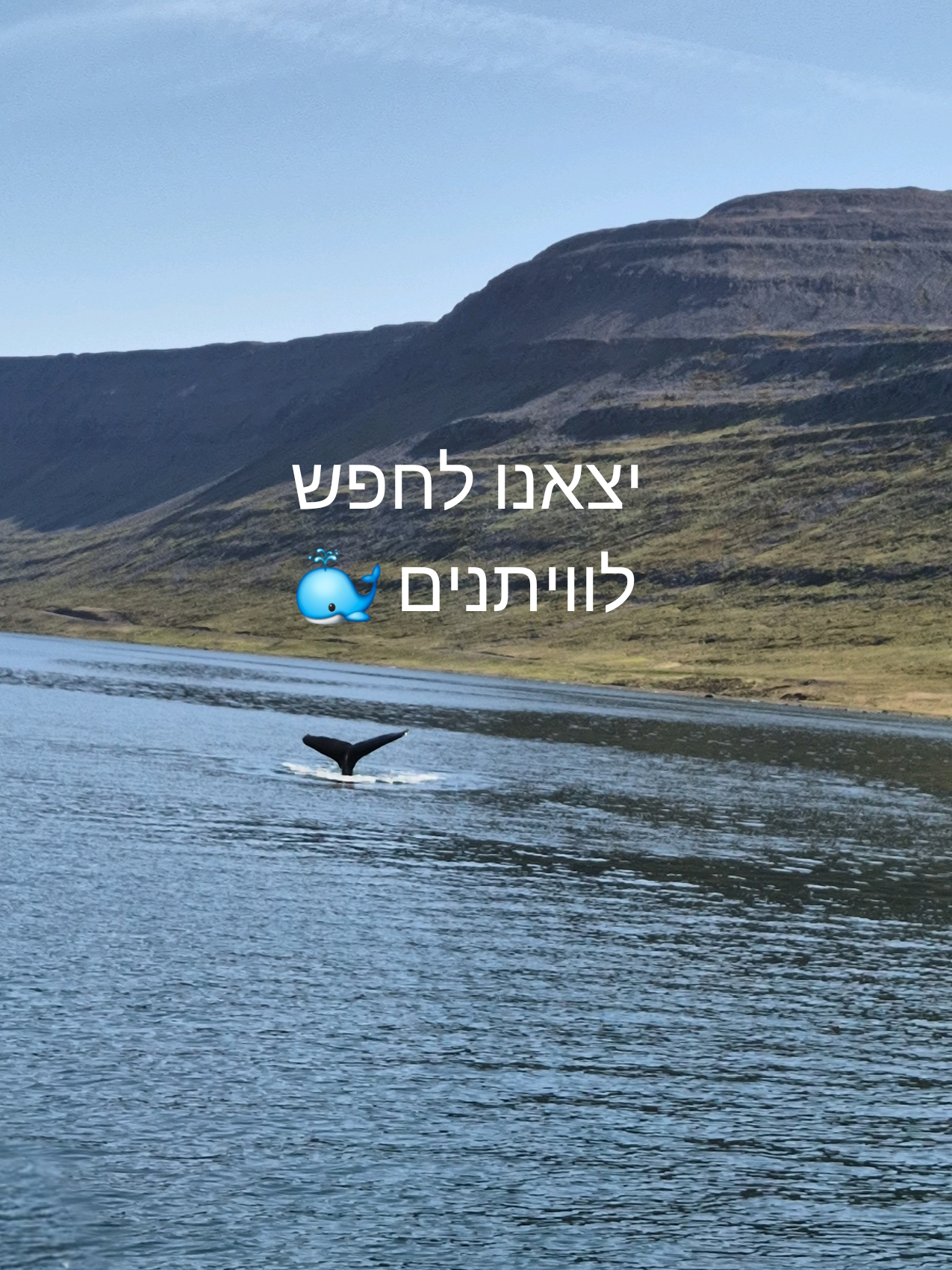 ההרפתקה ברחוב לאוגאבגור