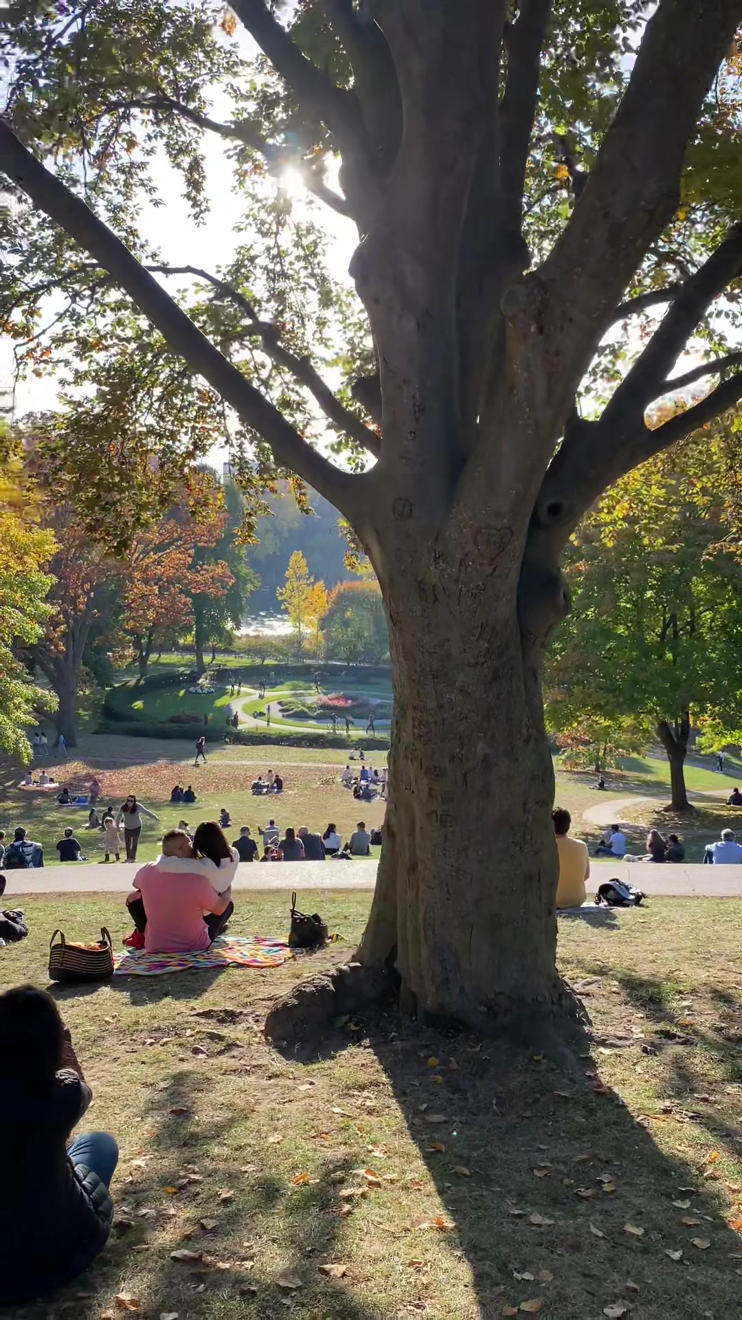 High Park