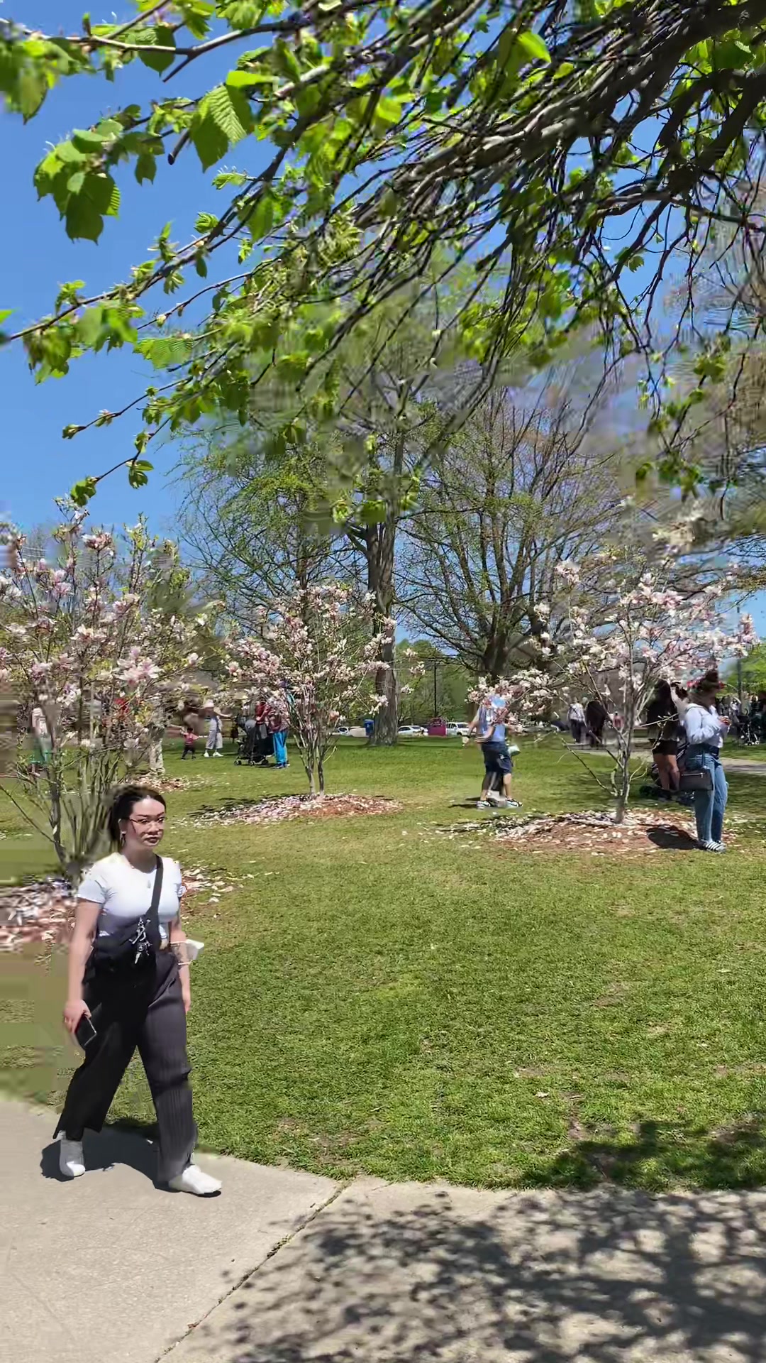 High Park