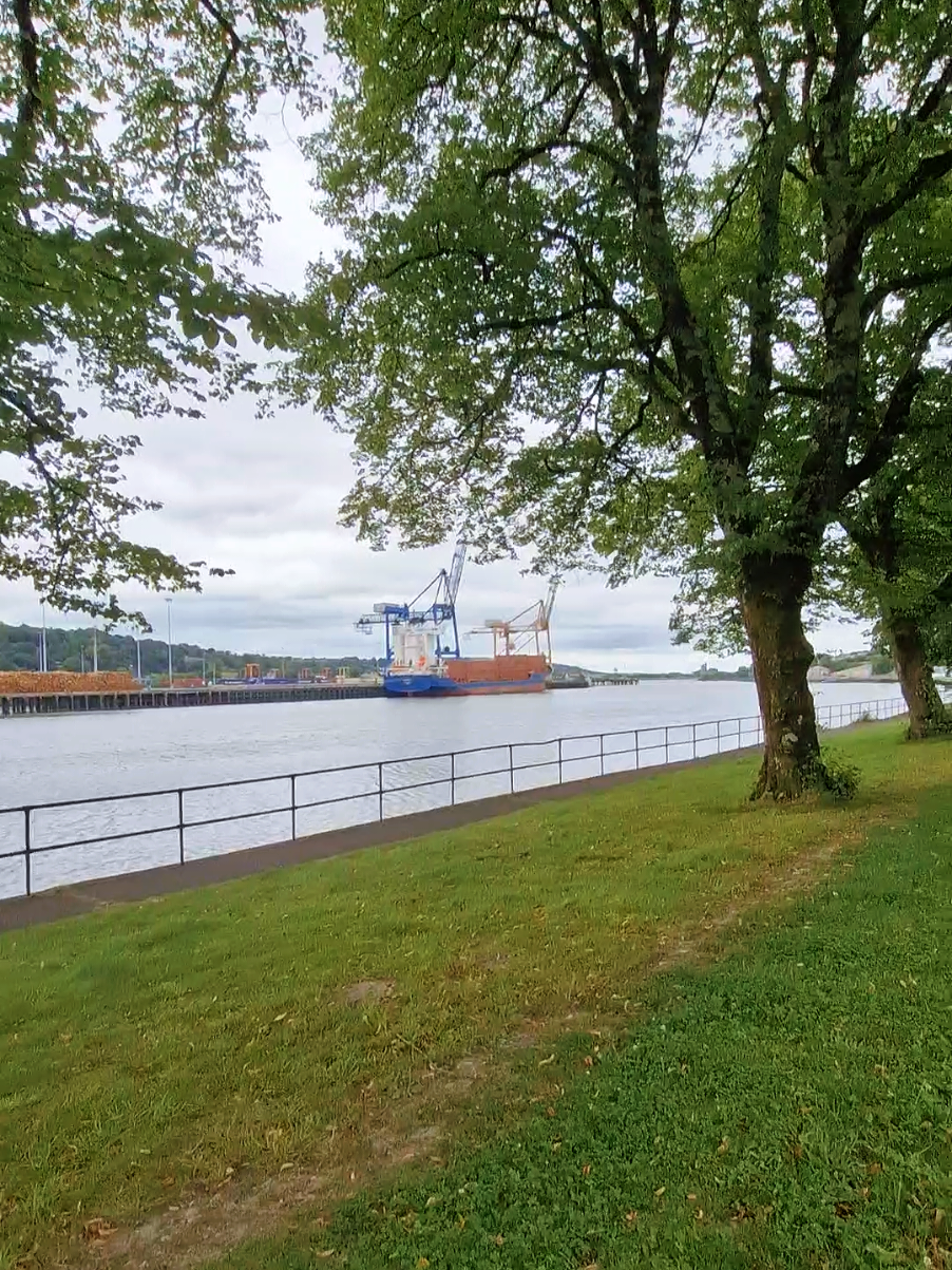 Hiking / Walks along the Lee Shore and Marina