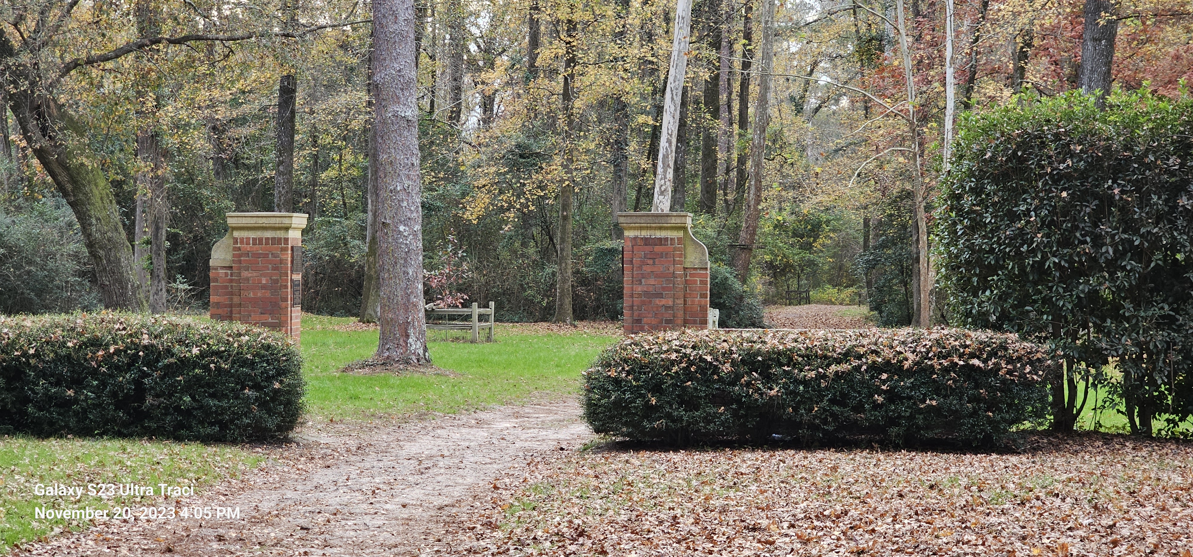 Hitchcock Woods