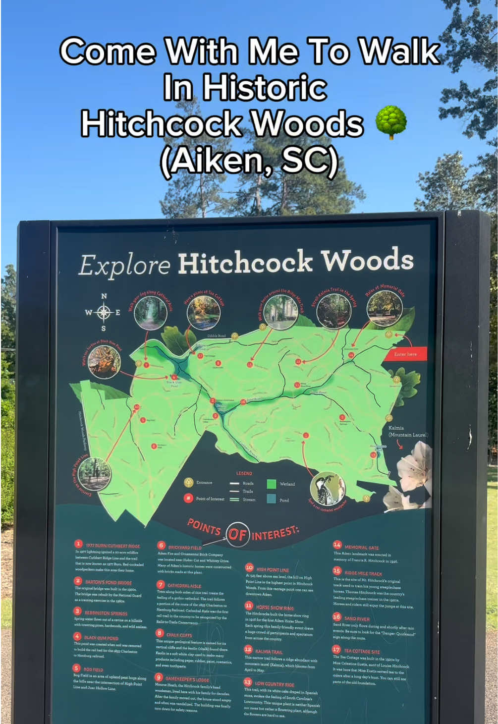 Hitchcock Woods