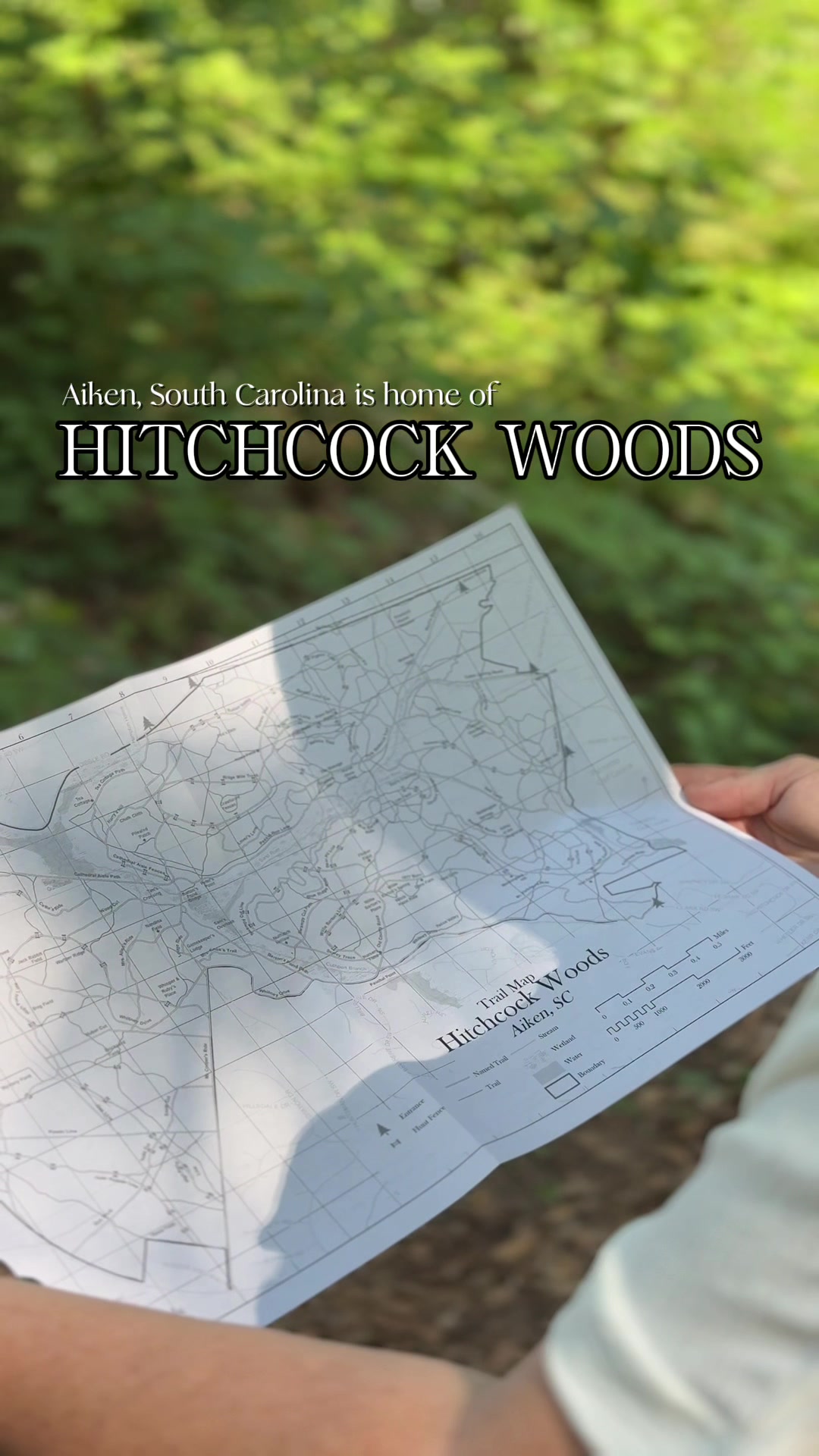 Hitchcock Woods