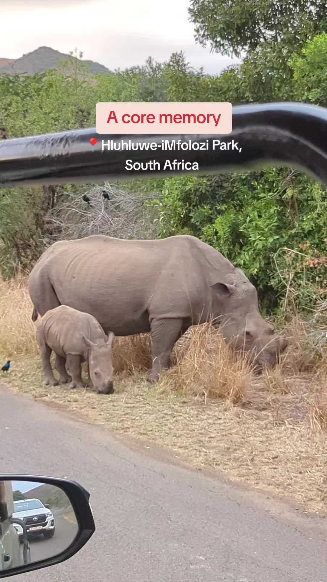 Hluhluwe–Imfolozi Park