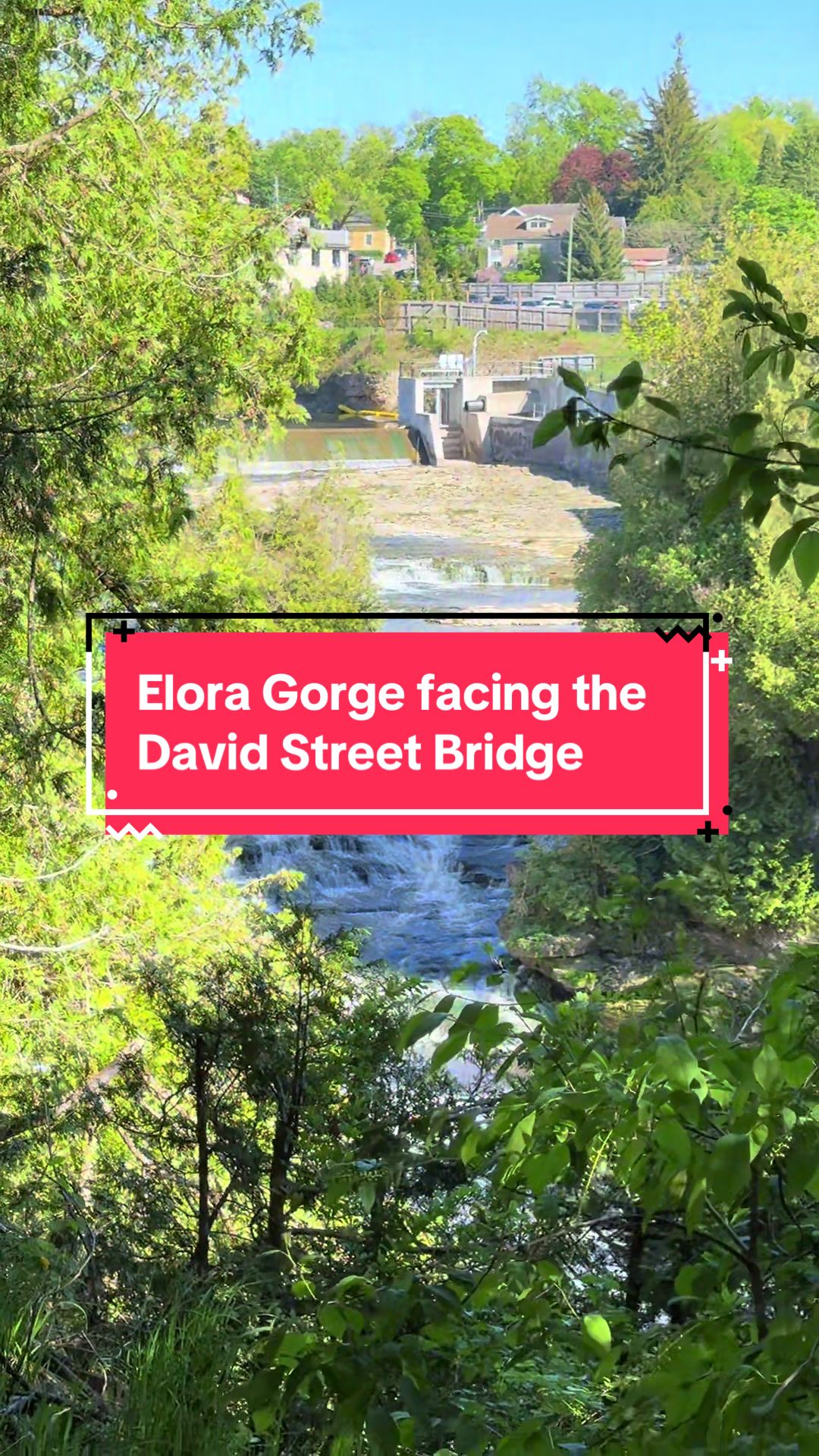 המפלים של אלביו (Elora Gorge)