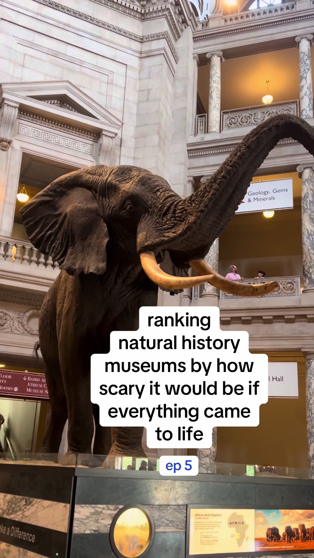 המוזיאון הלאומי להיסטוריה של הטבע (Smithsonian National Museum of Natural History)