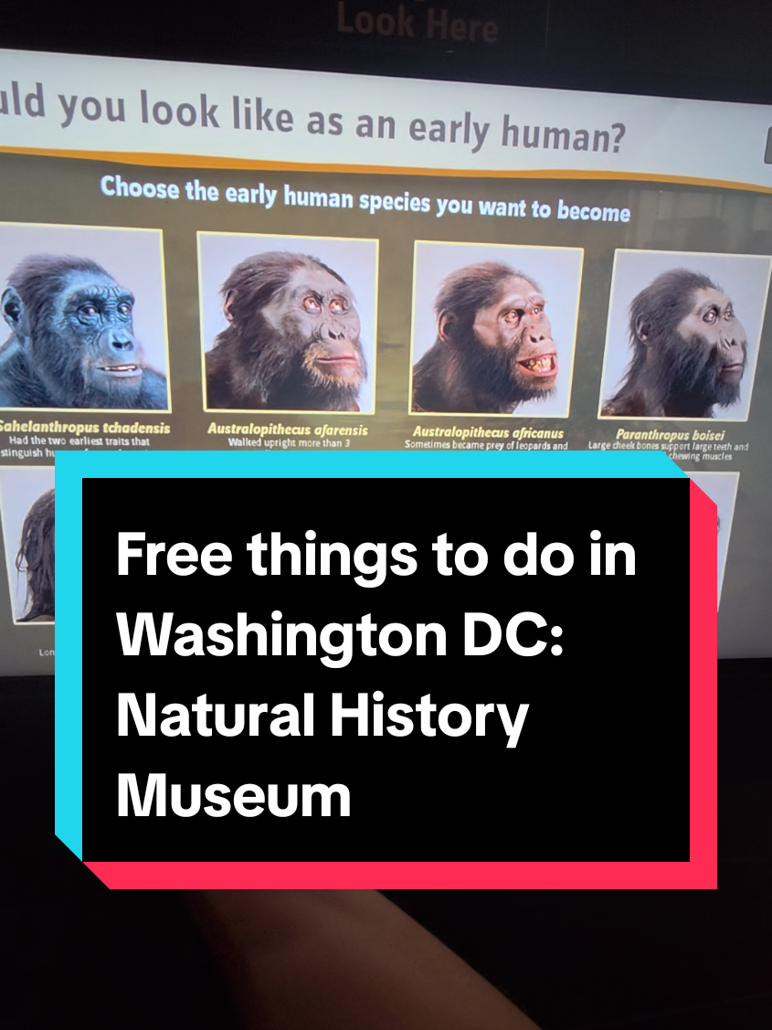 המוזיאון הלאומי להיסטוריה של הטבע (Smithsonian National Museum of Natural History)