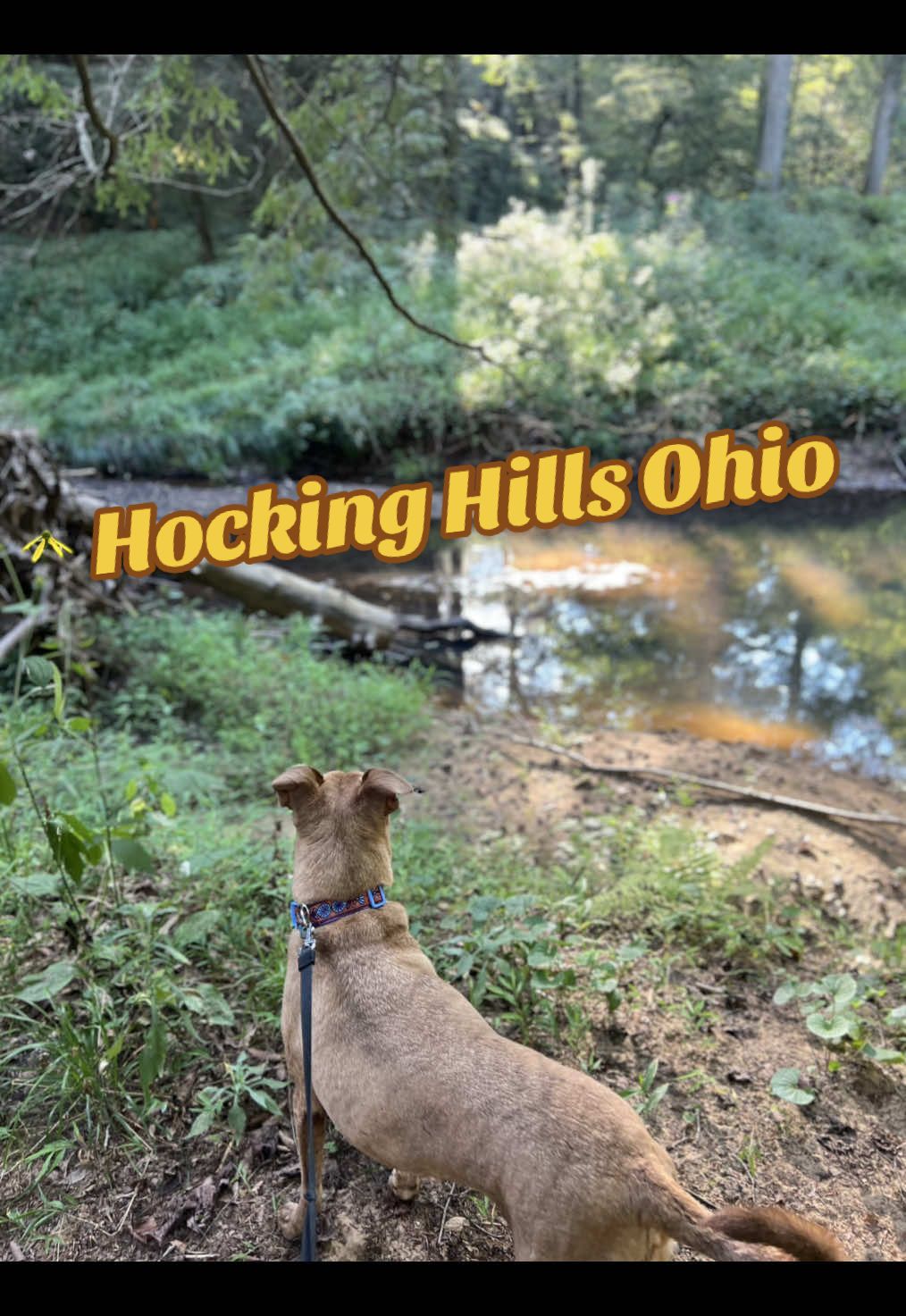 Hocking Hills State Park