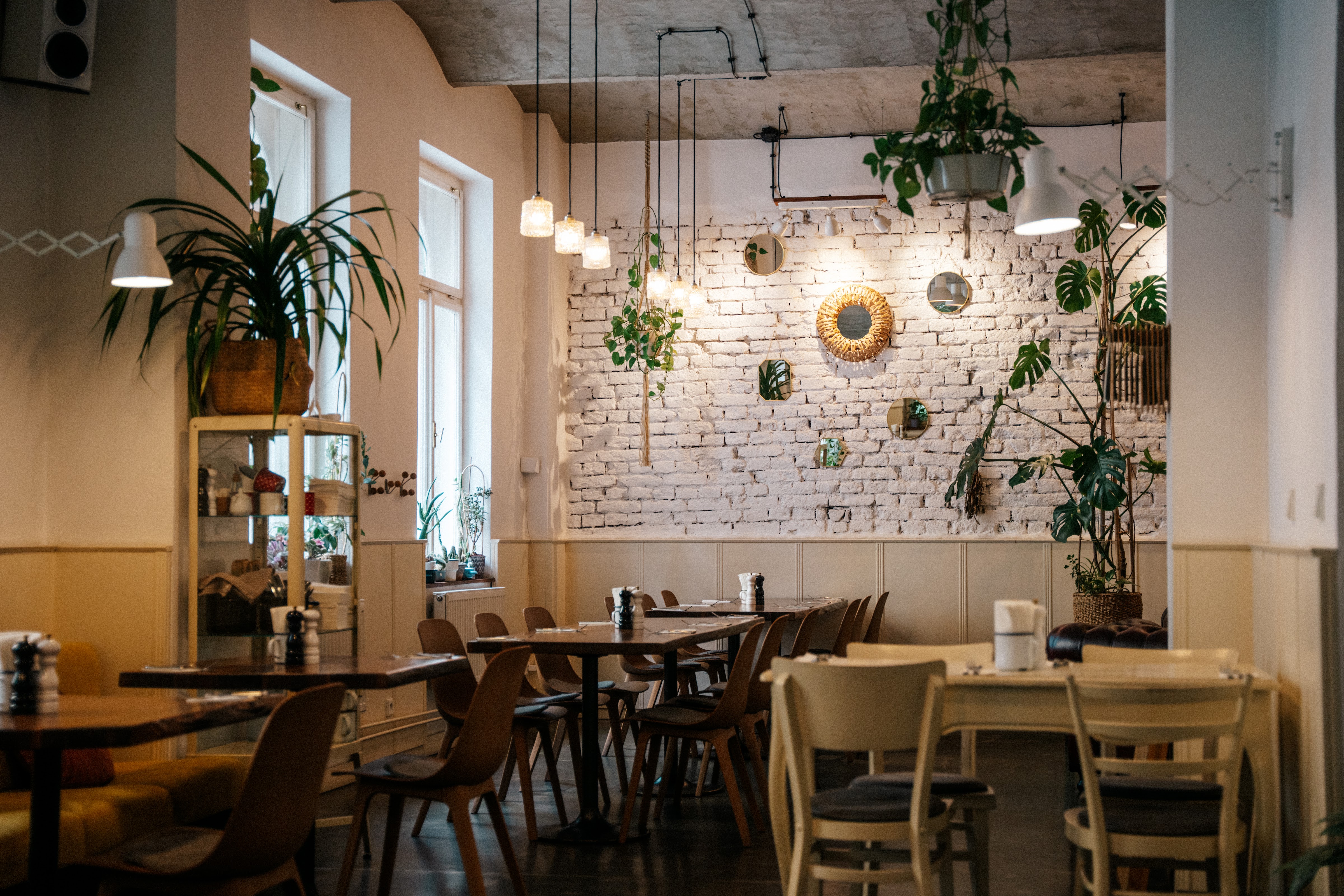 תמונה עבור Hogo Fogo Bistro