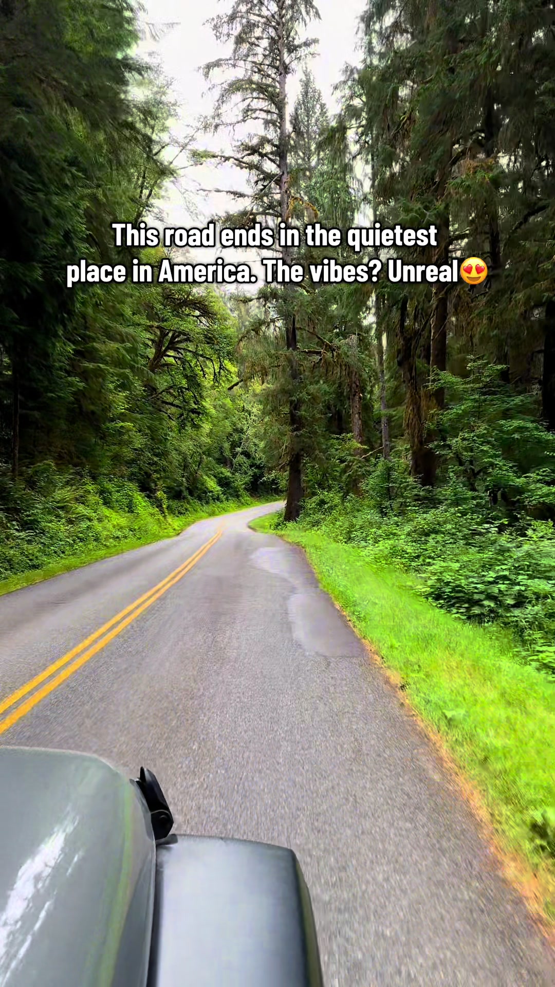 Hoh Rain Forest - Hall of Mosses Trail