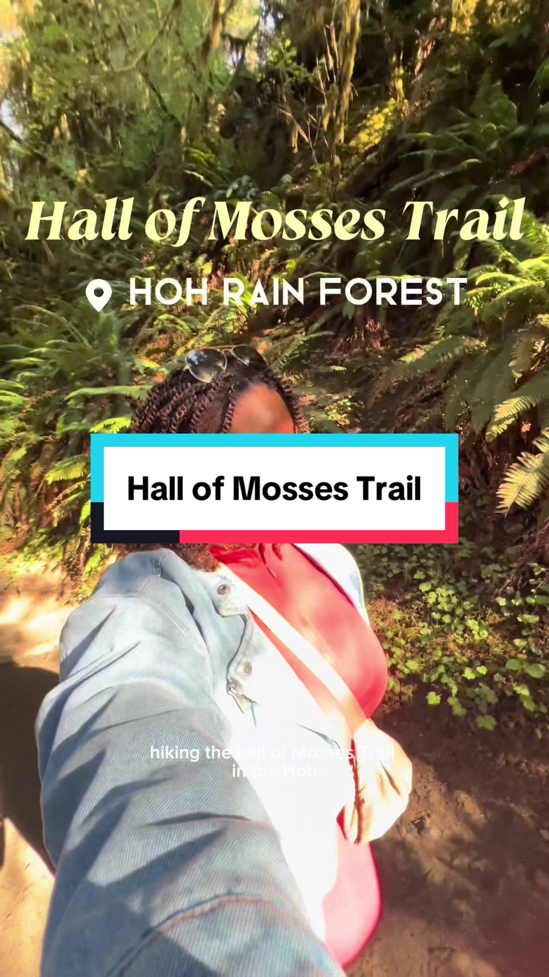 Hoh Rain Forest - Hall of Mosses Trail