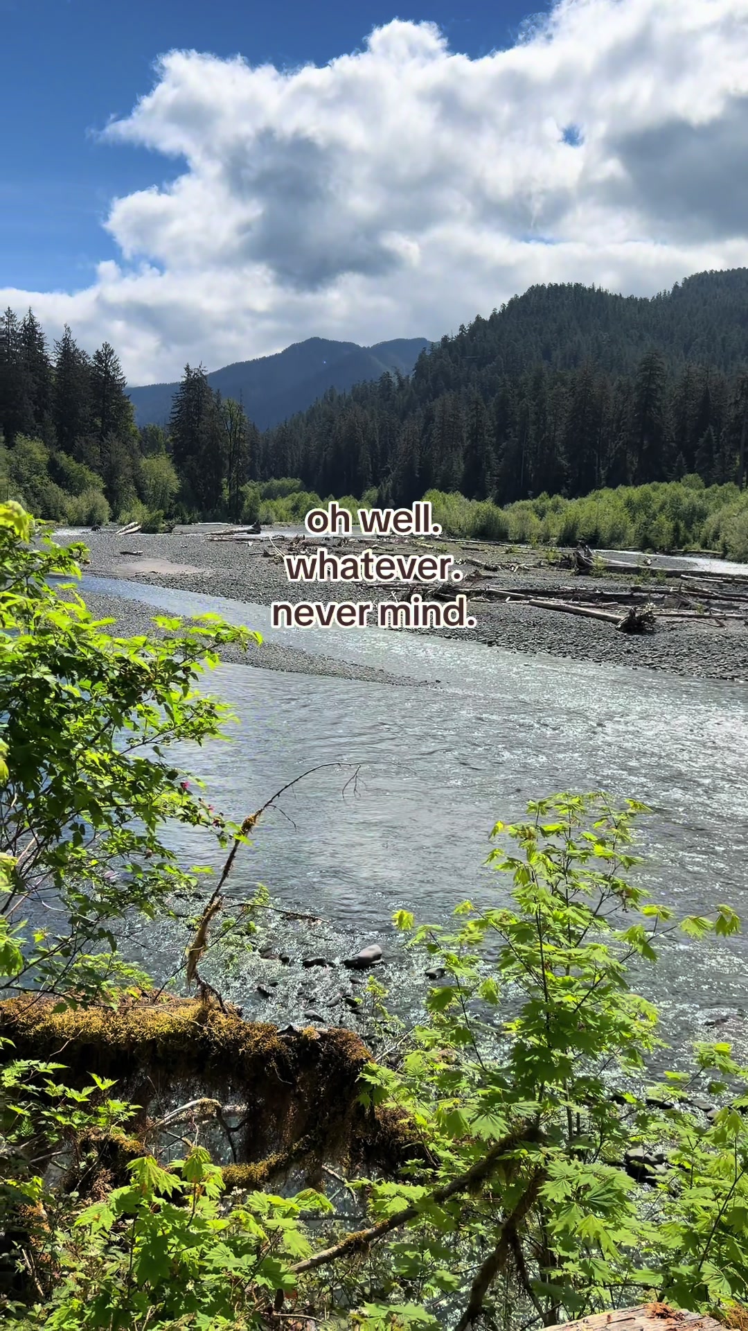 Hoh River Trail