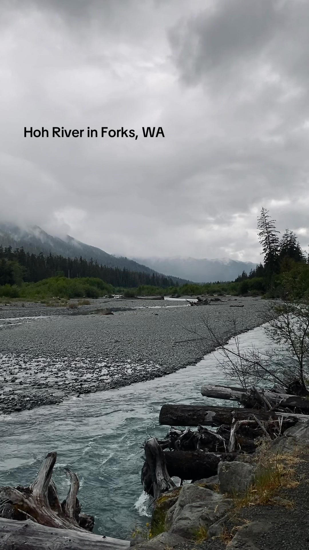 Hoh River Trail