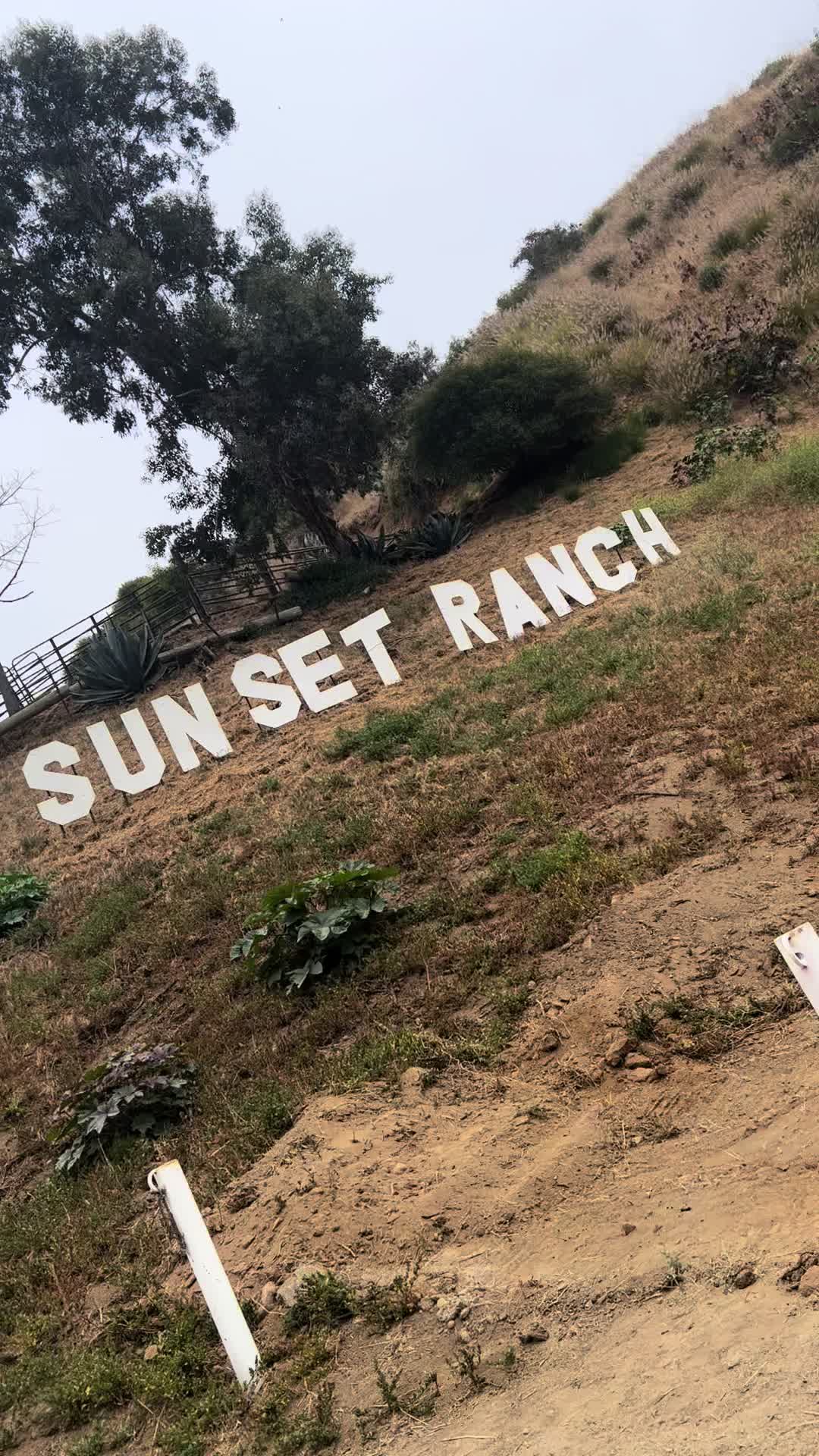 Hollywood Sign