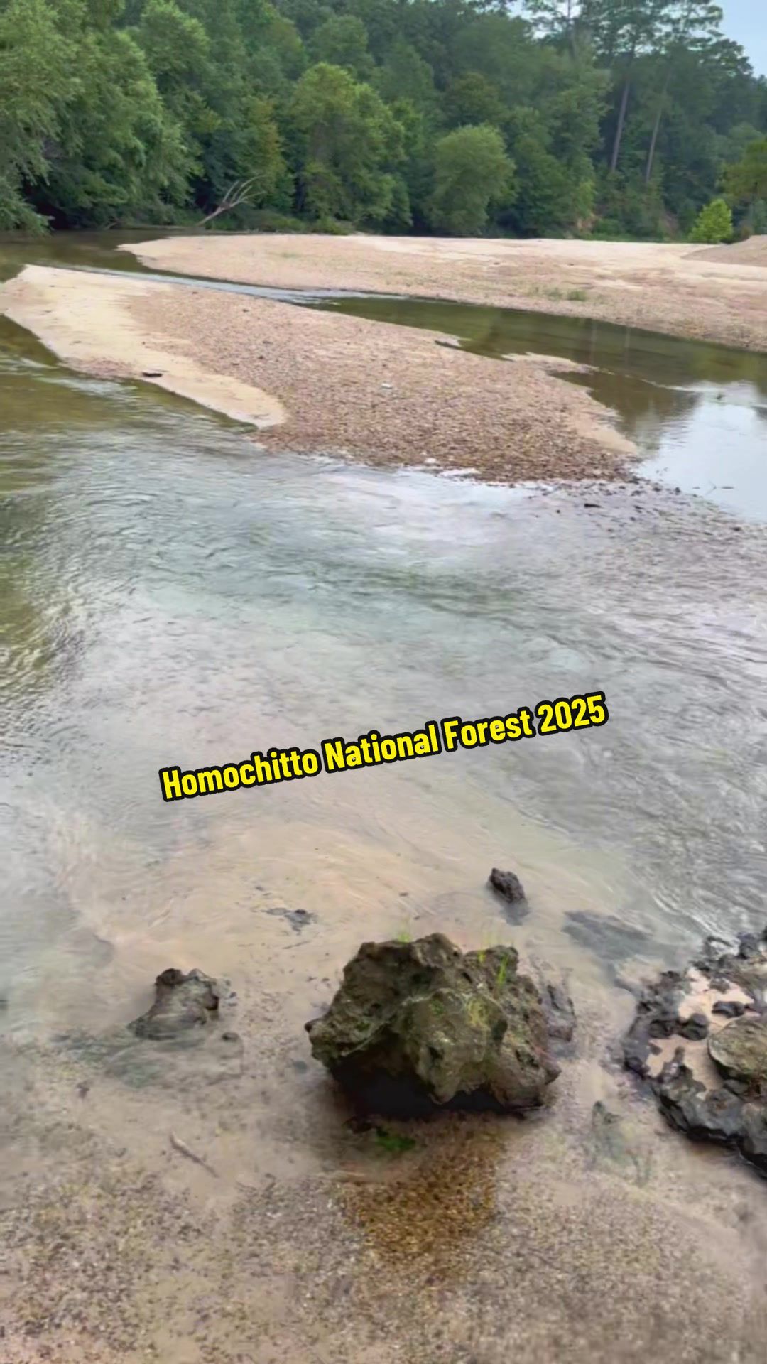 Homochitto National Forest, MS