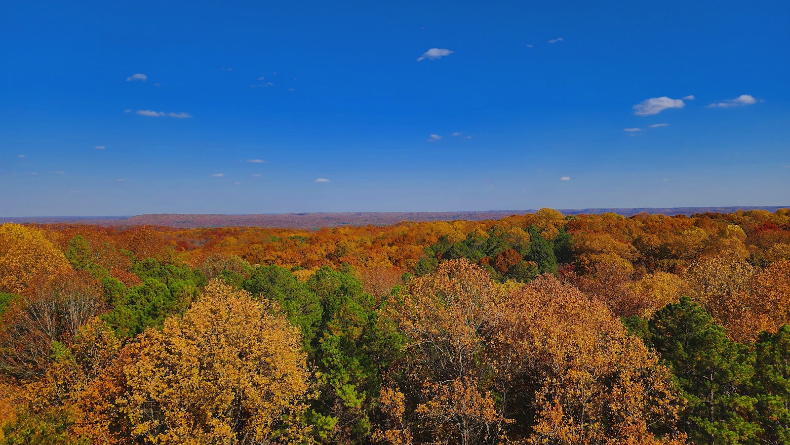 Hoosier National Forest