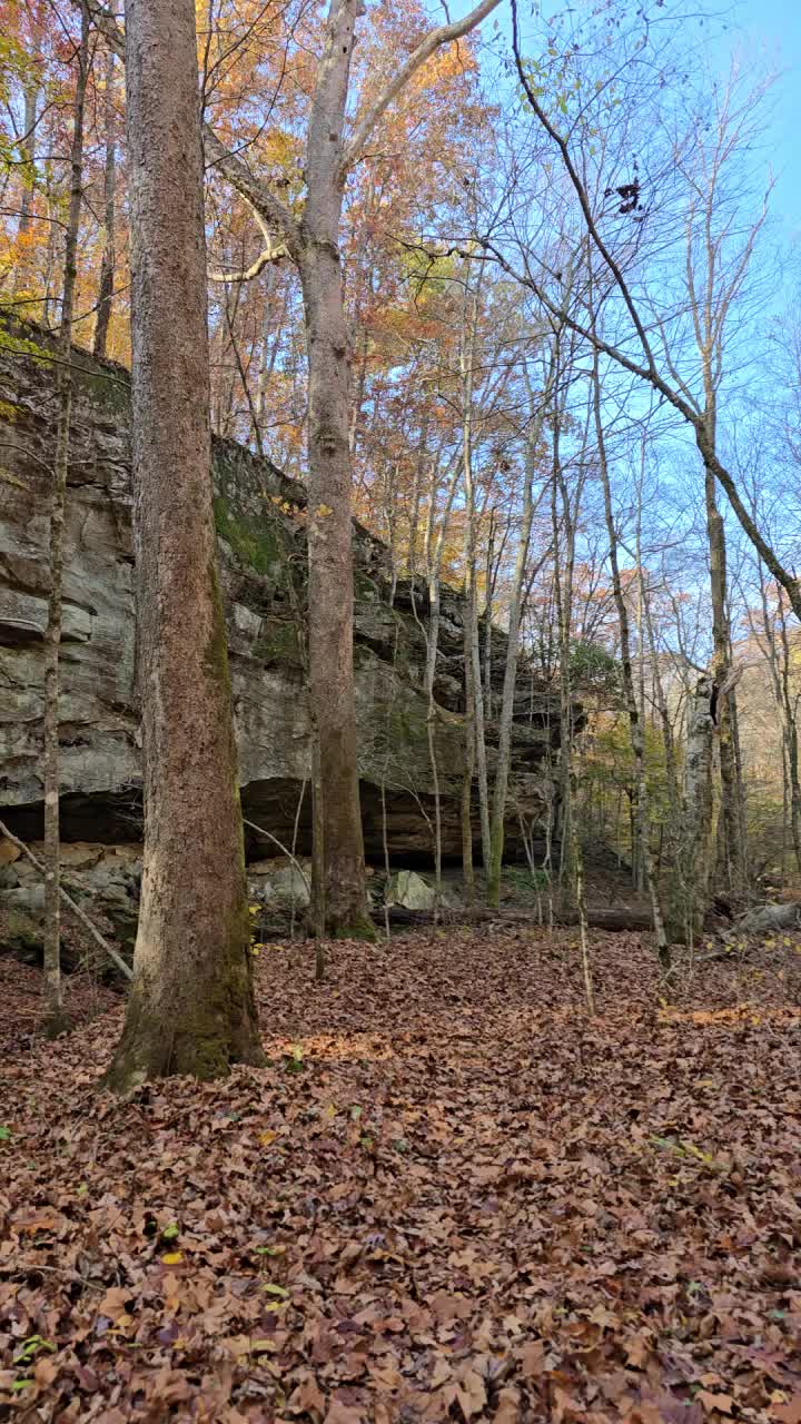 Hoosier National Forest