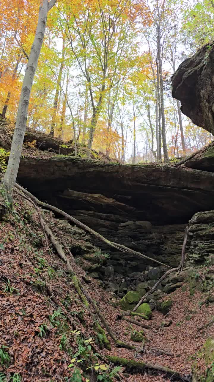 Hoosier National Forest