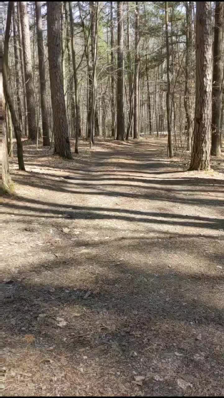 Hoosier National Forest