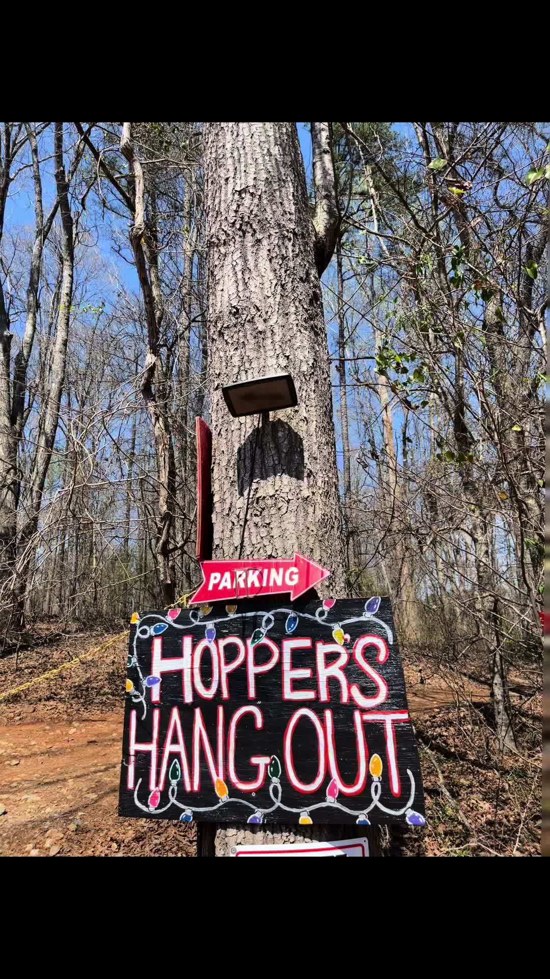 Hopper's Cabin