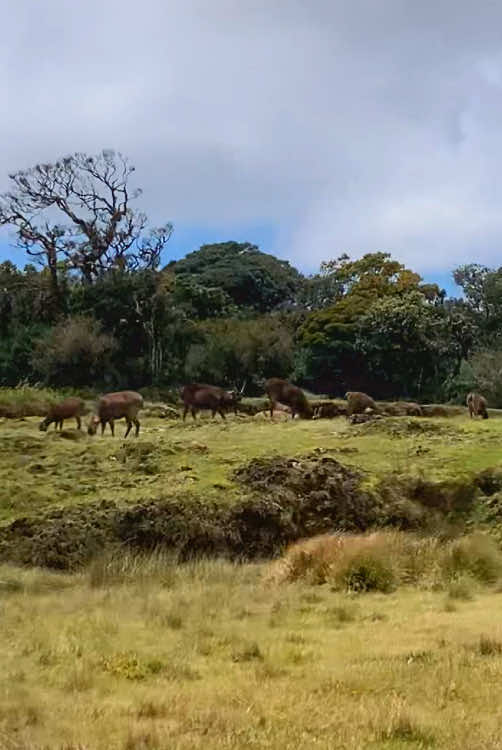 Horton Plains National Park
