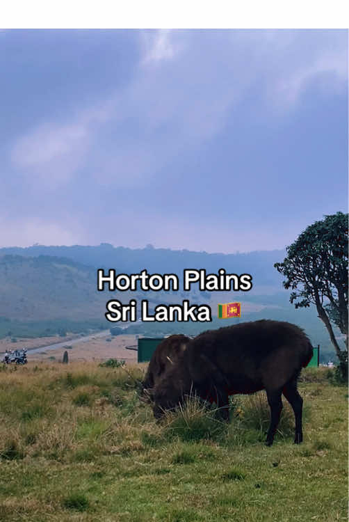 Horton Plains National Park