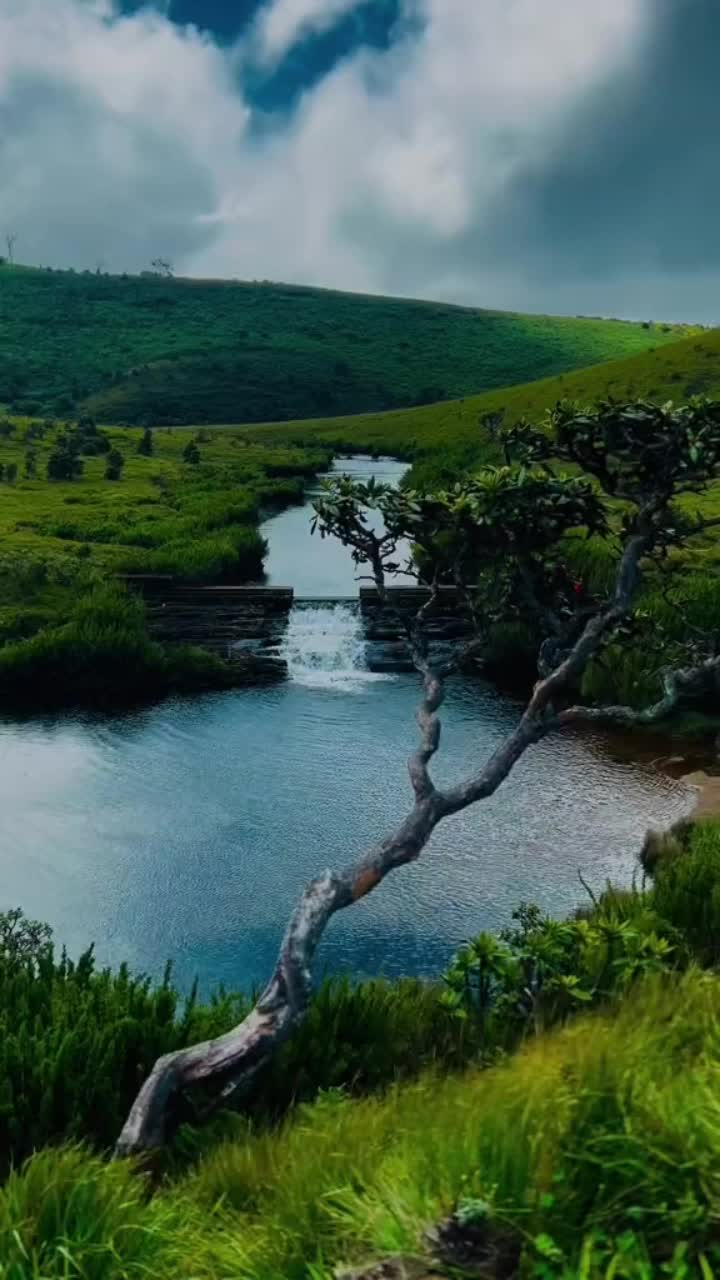 Horton Plains National Park