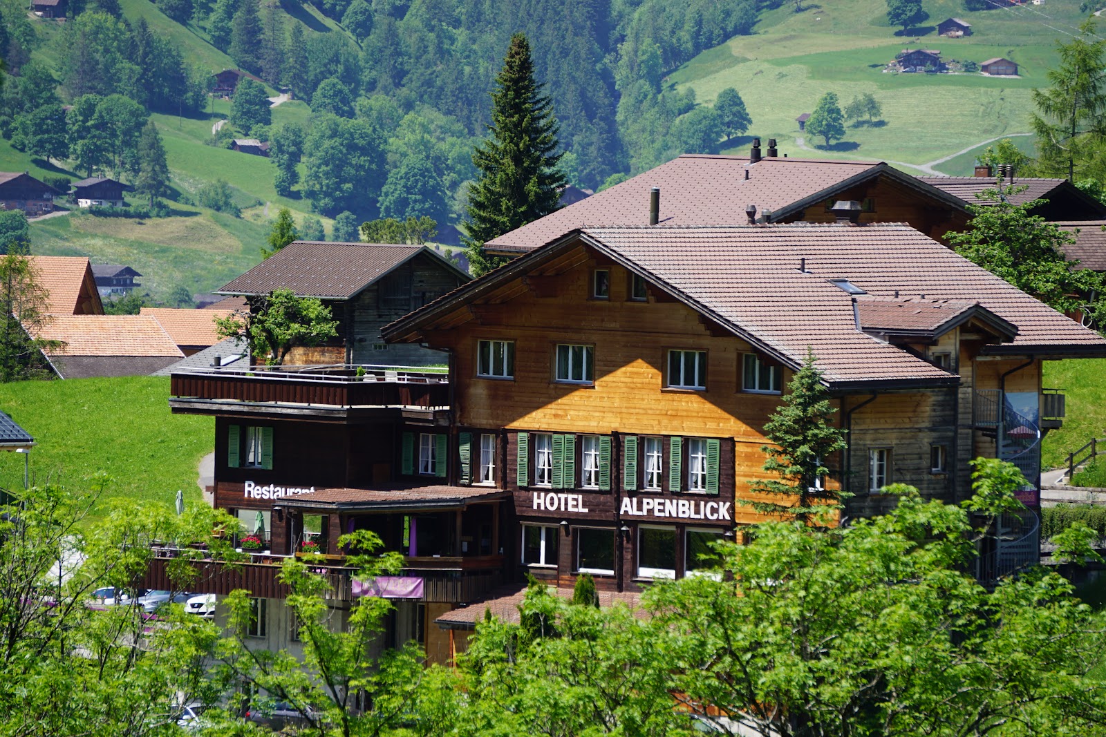 תמונה עבור Restaurant Alpenblick