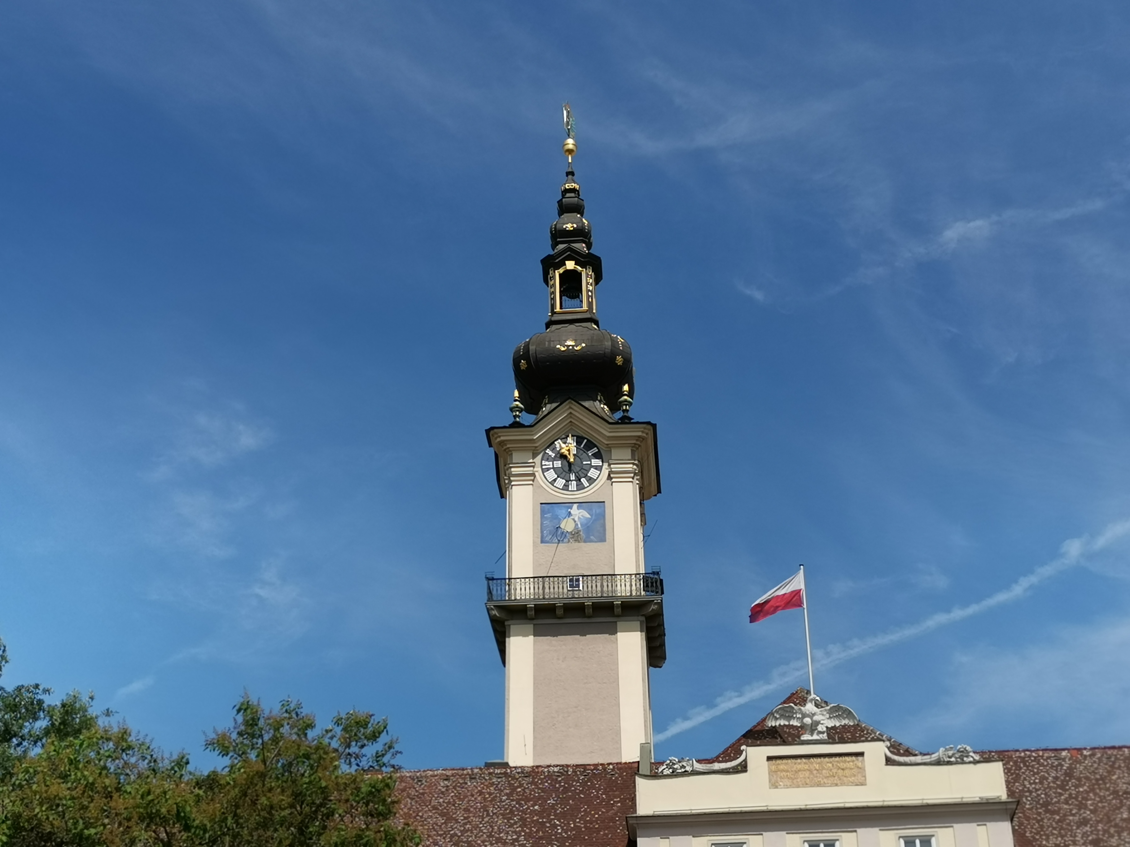 Изображение для Hotel Schwarzer Bär