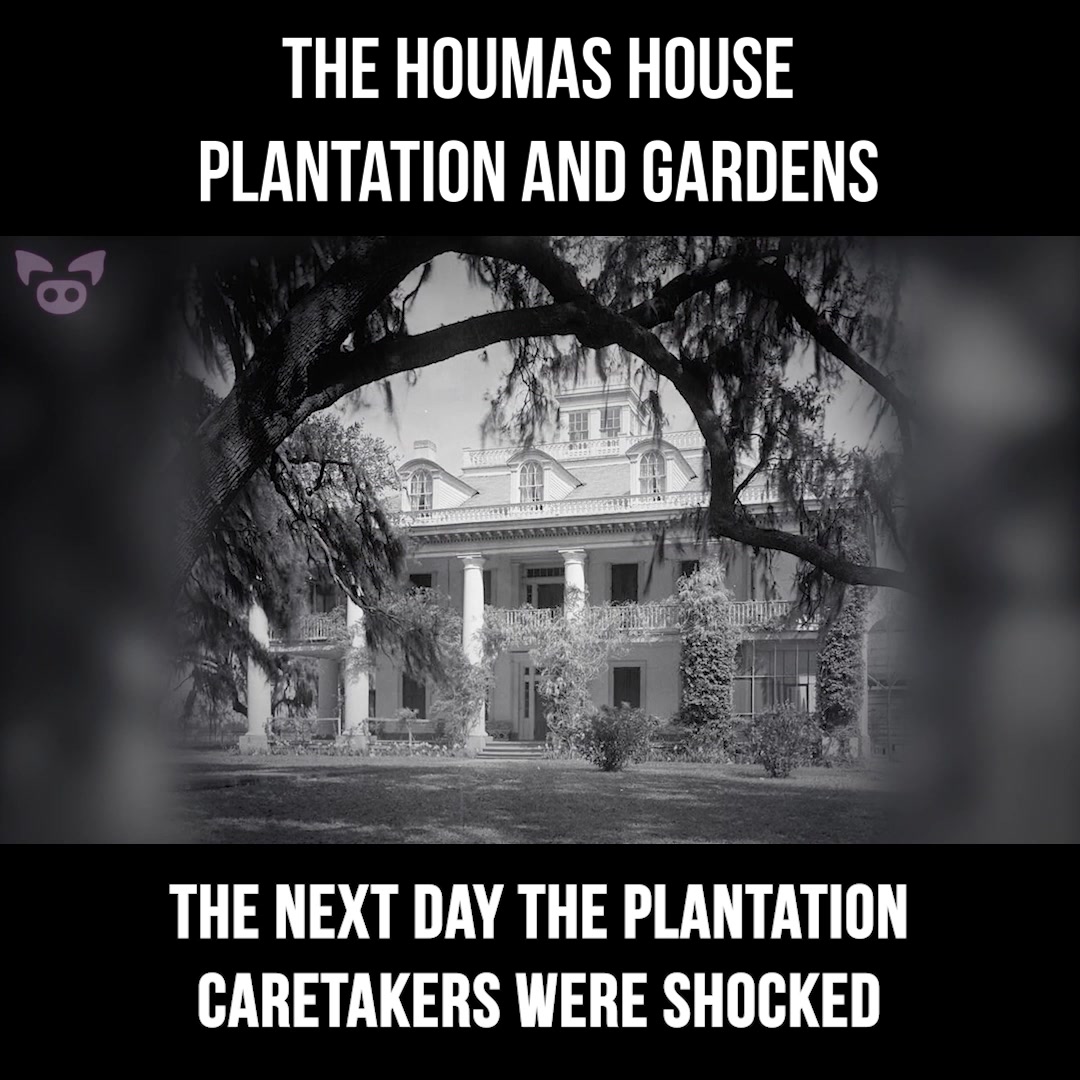 Houmas House Plantation and Gardens