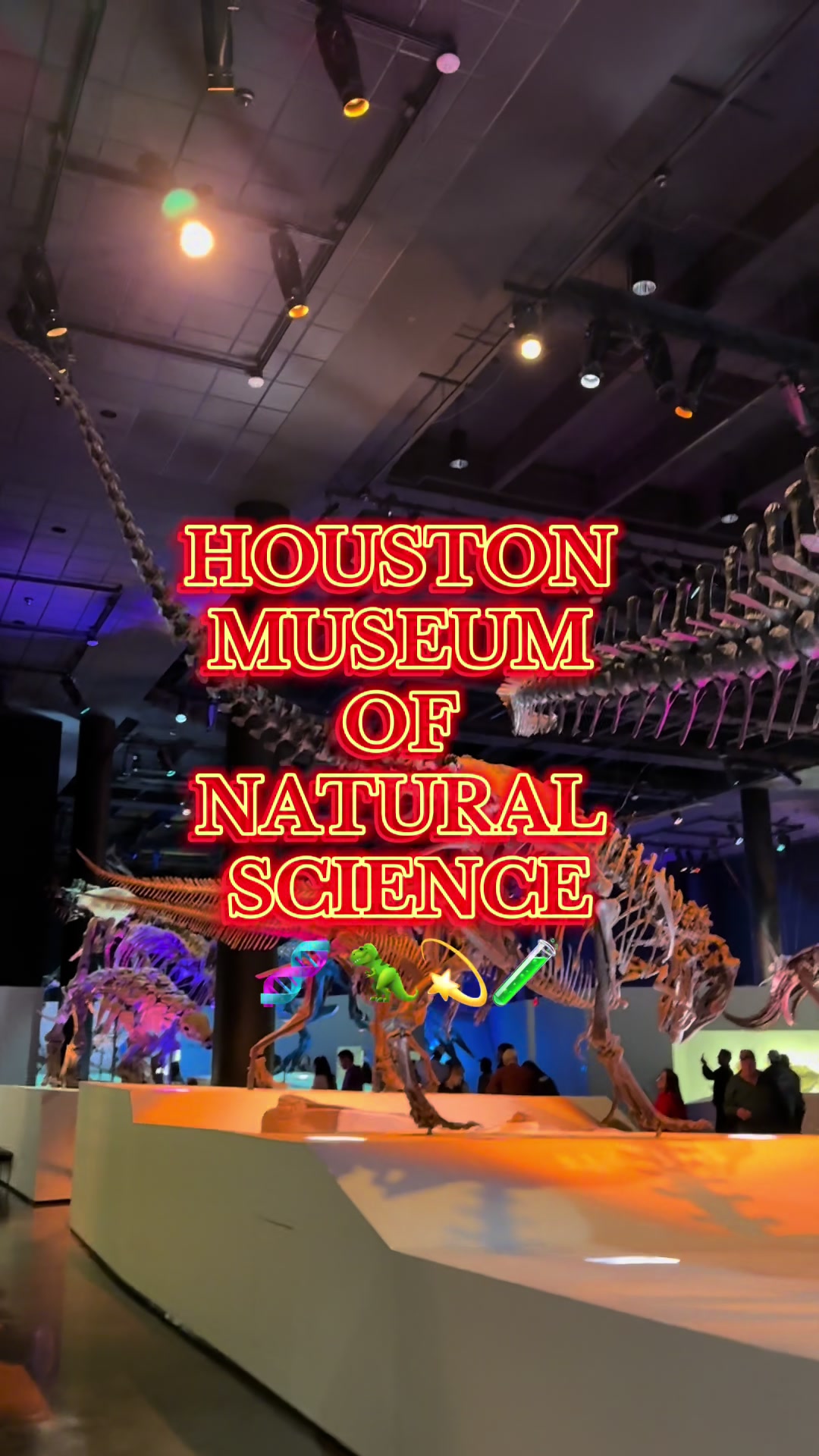 Houston Museum District