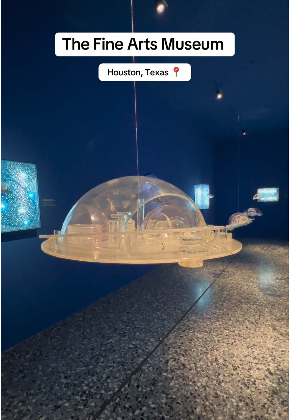 Houston Museum District