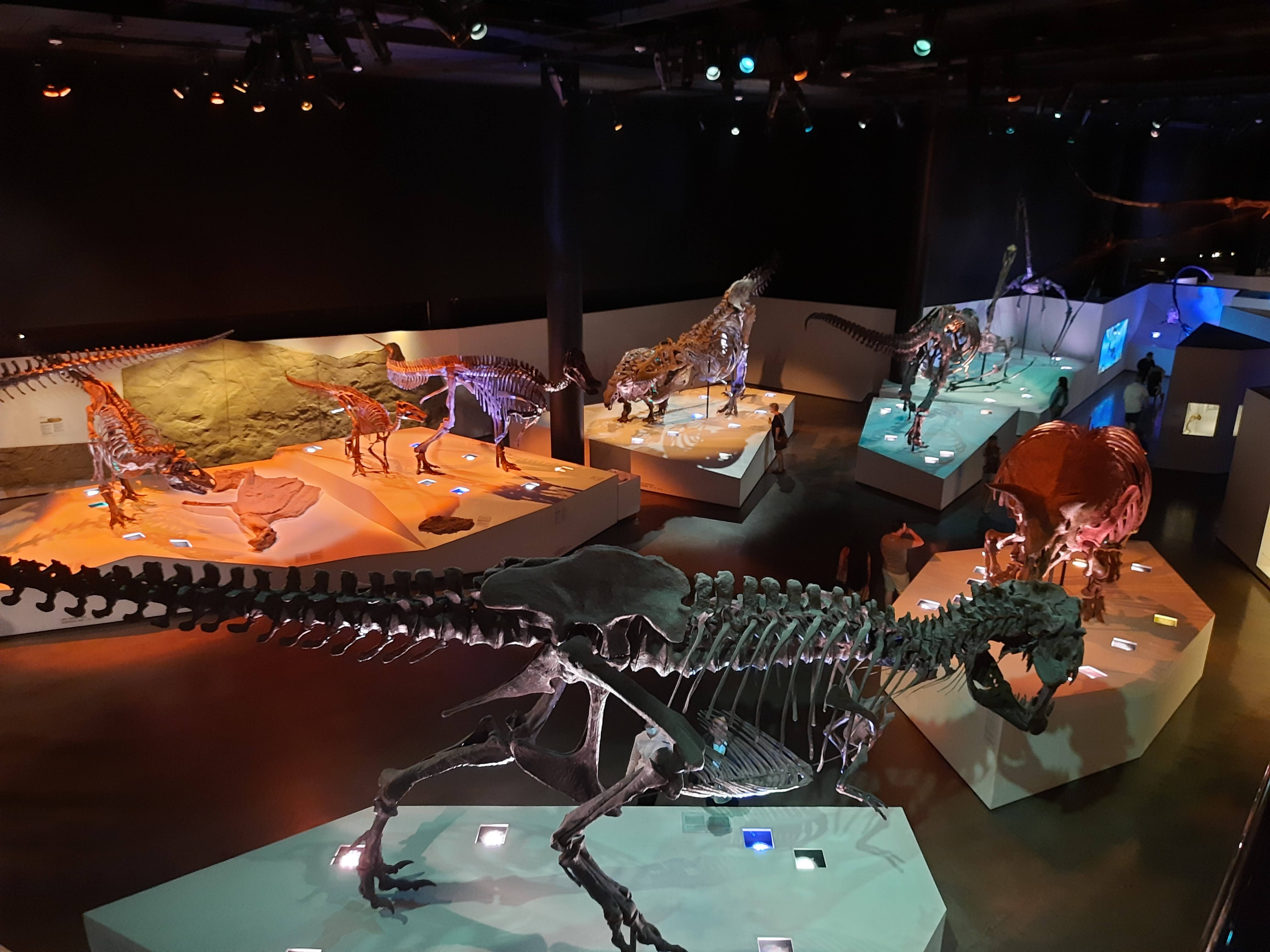 Houston to Dallas to San Antonio Road Trip Itinerary