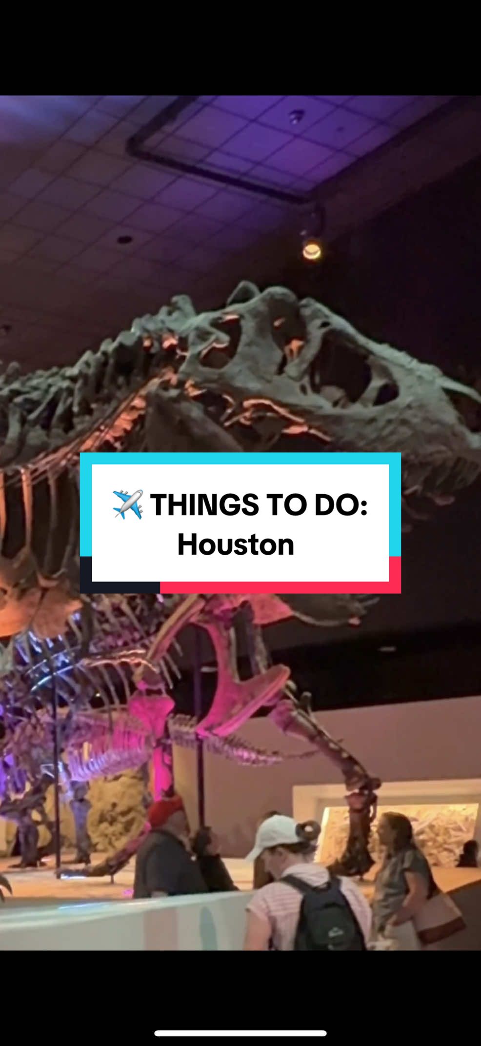 Houston Museum of Natural Science