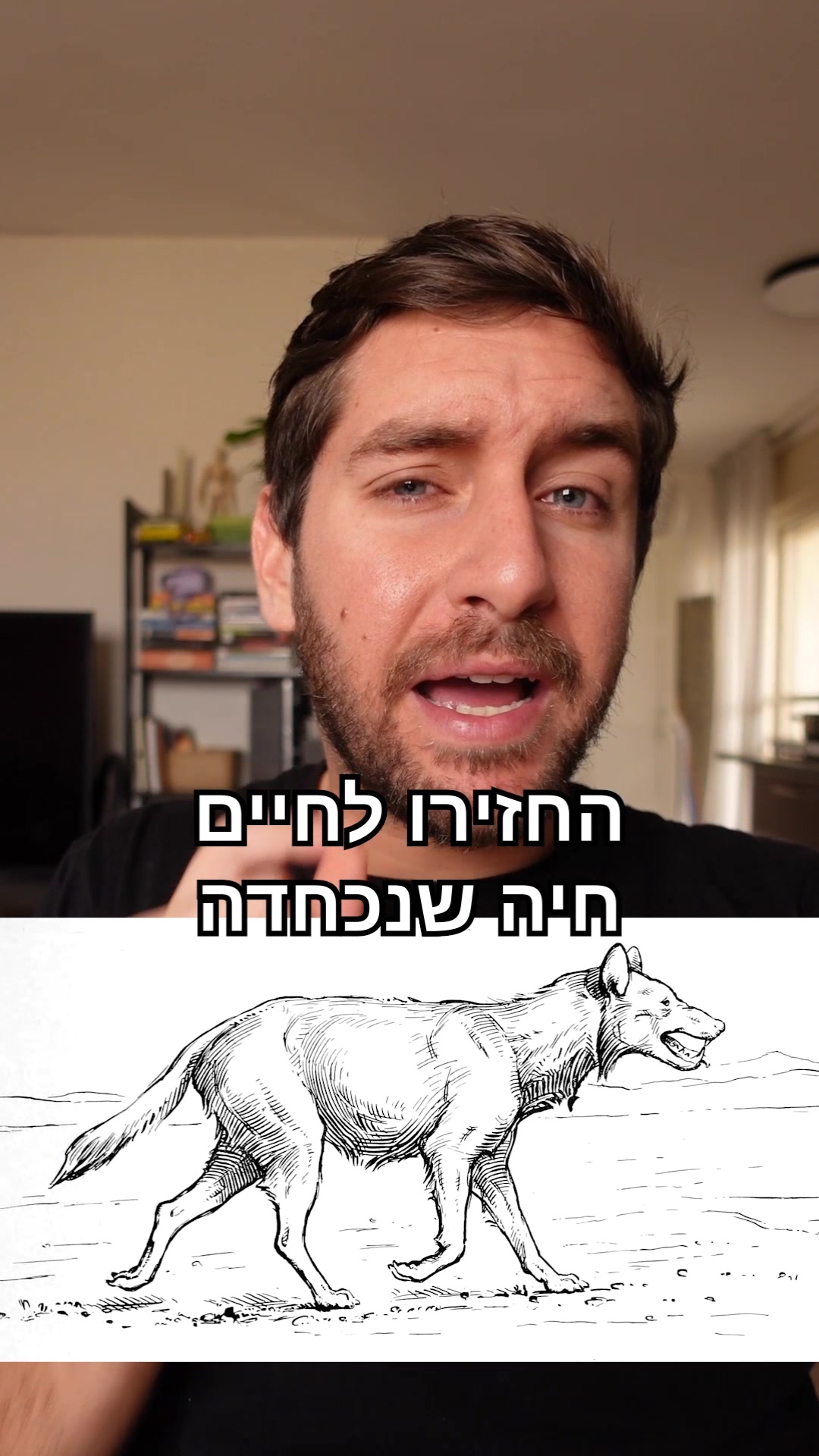 הפארק הלאומי טיירה דל פואגו