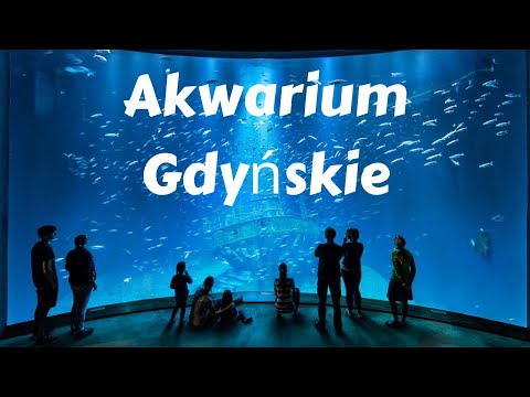 האקווריום של גידניה (Akwarium Gdyńskie)