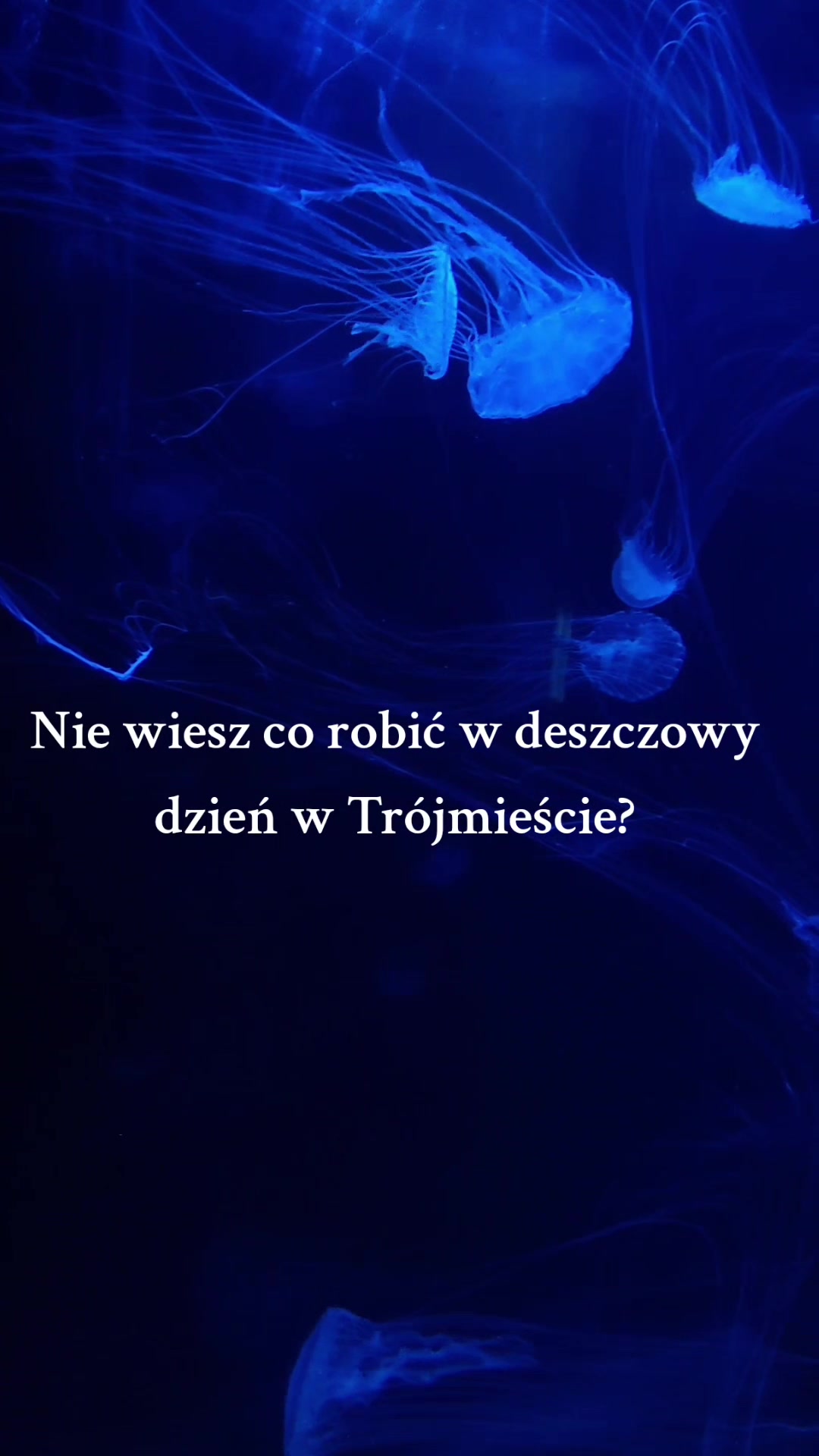האקווריום של גידניה (Akwarium Gdyńskie)