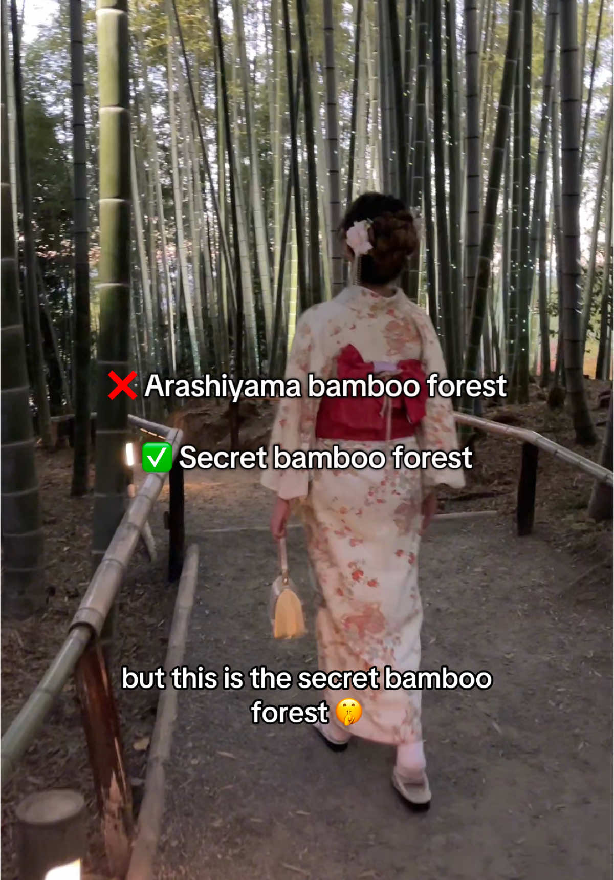 הארימייקי (Arashiyama Bamboo Grove, קיוטו)