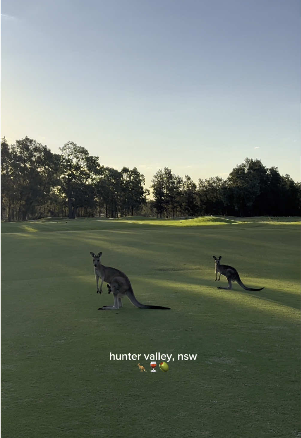 Hunter Valley